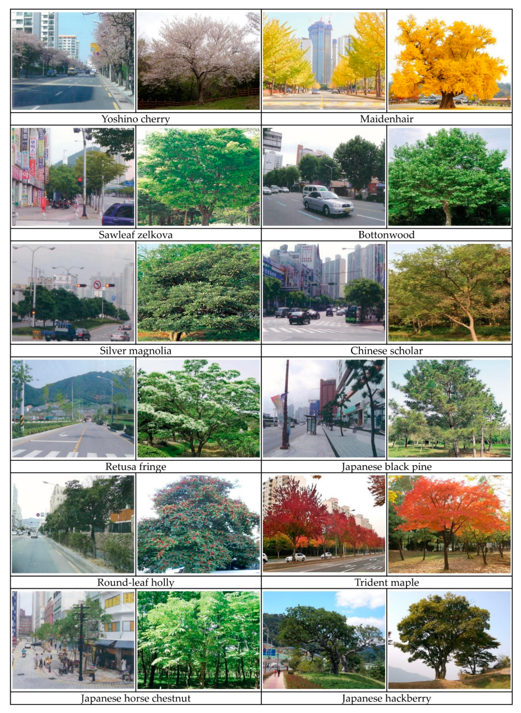 Sustainability 13 03141 g002