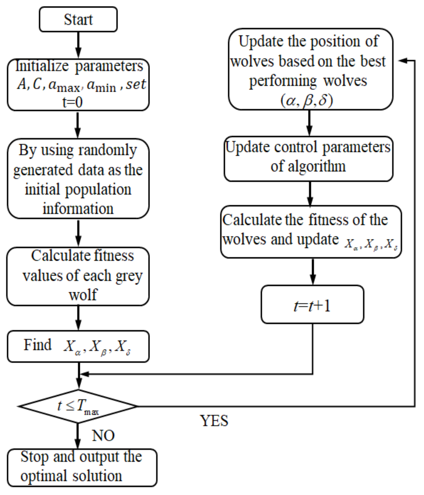 Lia Wolf'S X Algorithm: Optimizing For Success - gls8pwm
