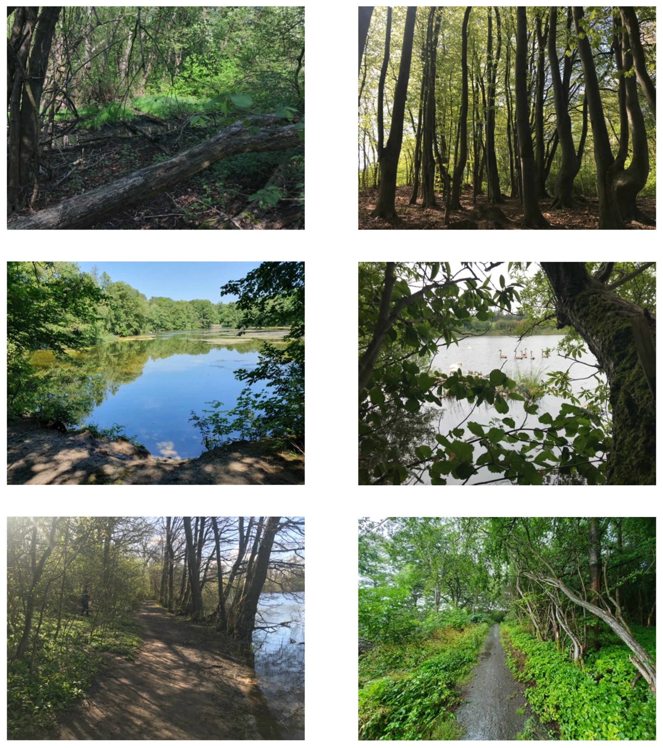 Sustainability 13 03249 g004