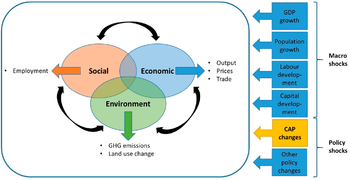 Sustainability 13 03264 g002 Sustainability 13 03264 g002