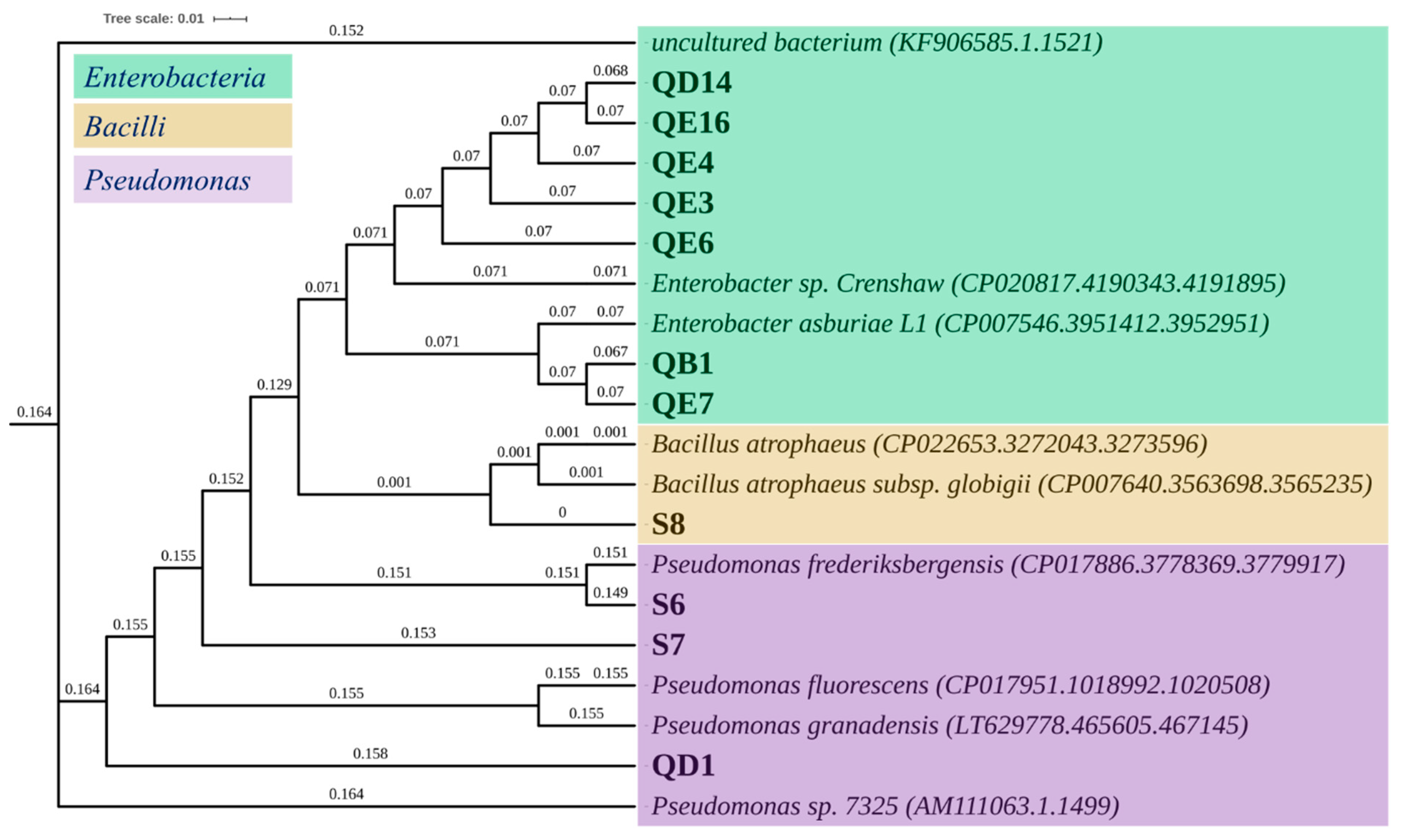 Sustainability 13 03307 g005 Sustainability 13 03307 g005