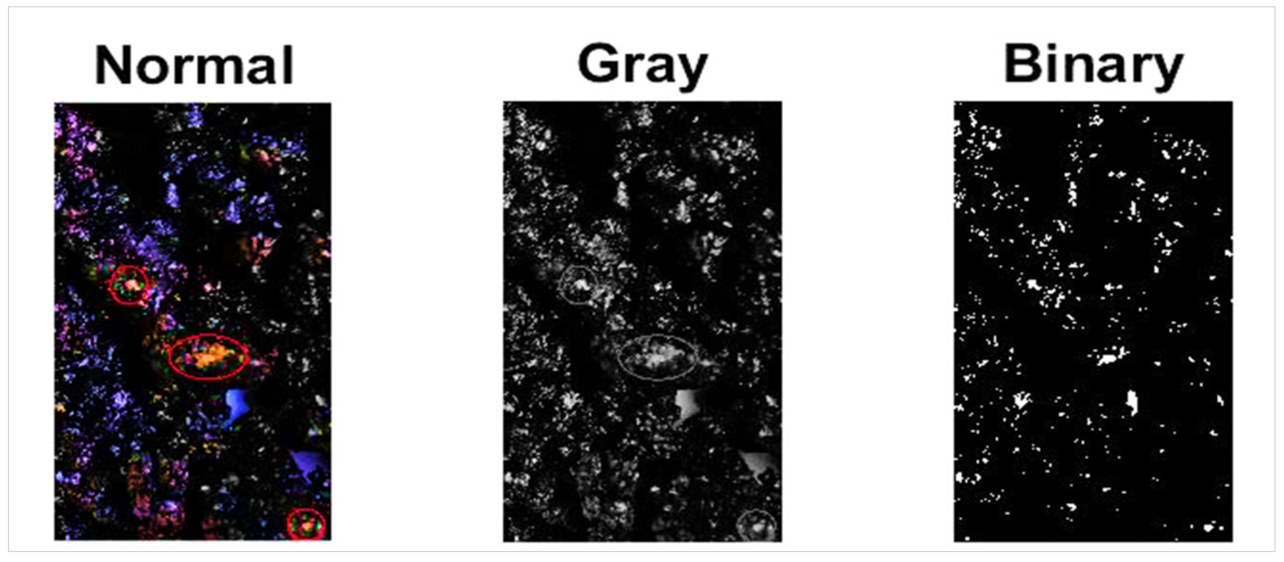 Sustainability 13 03315 g016