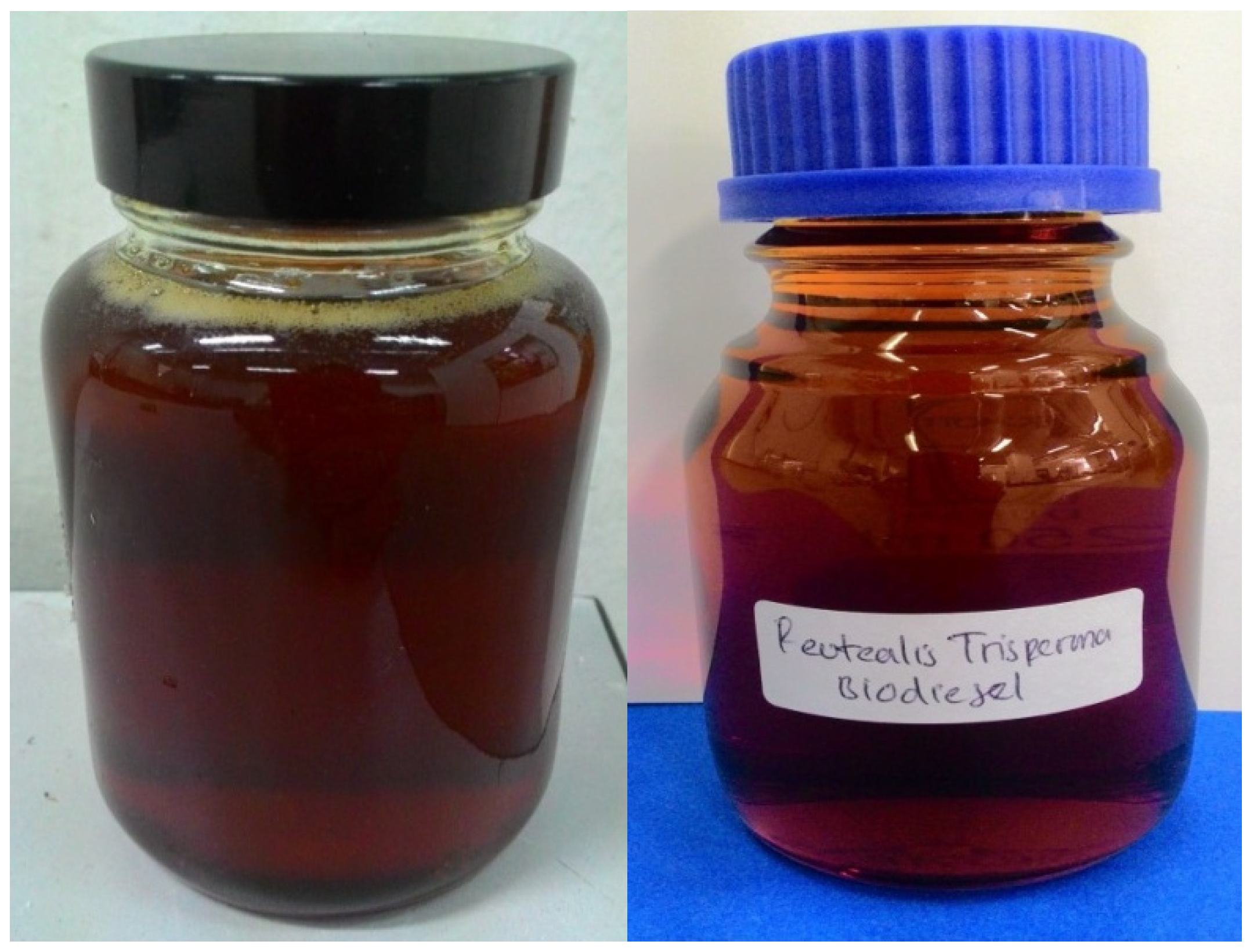 Sustainability 13 03350 g002