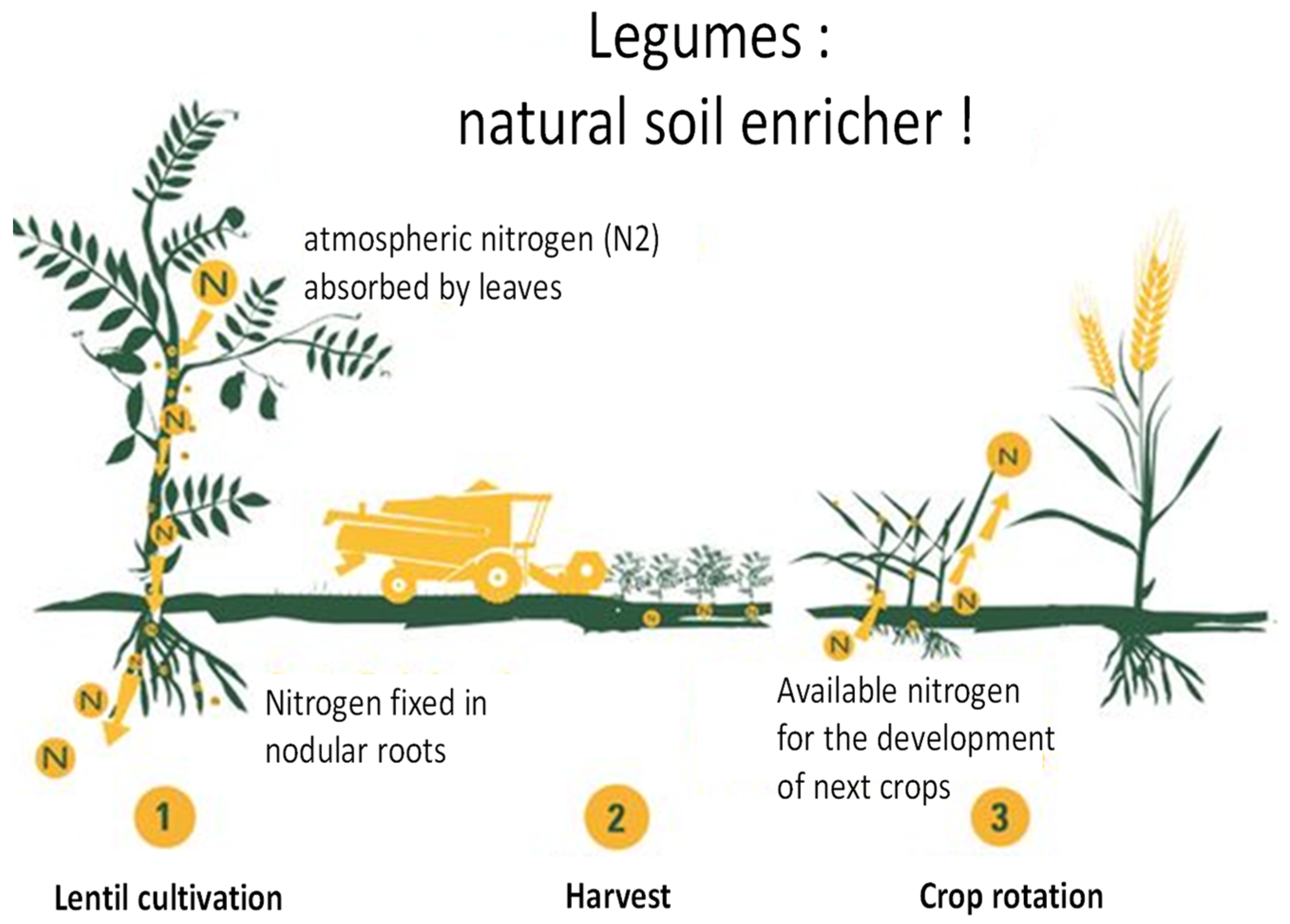 Sustainability 13 03408 g002
