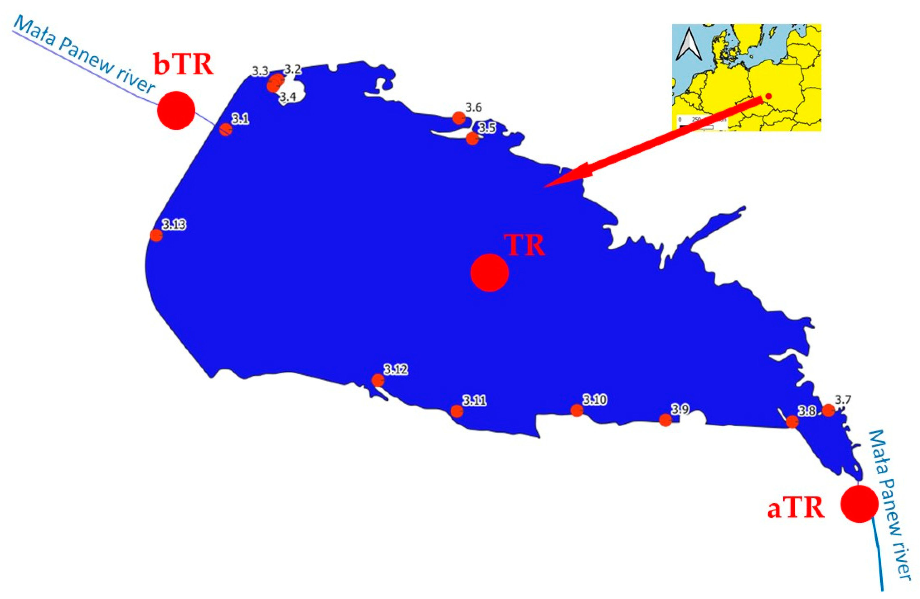 Sustainability 13 03457 g001