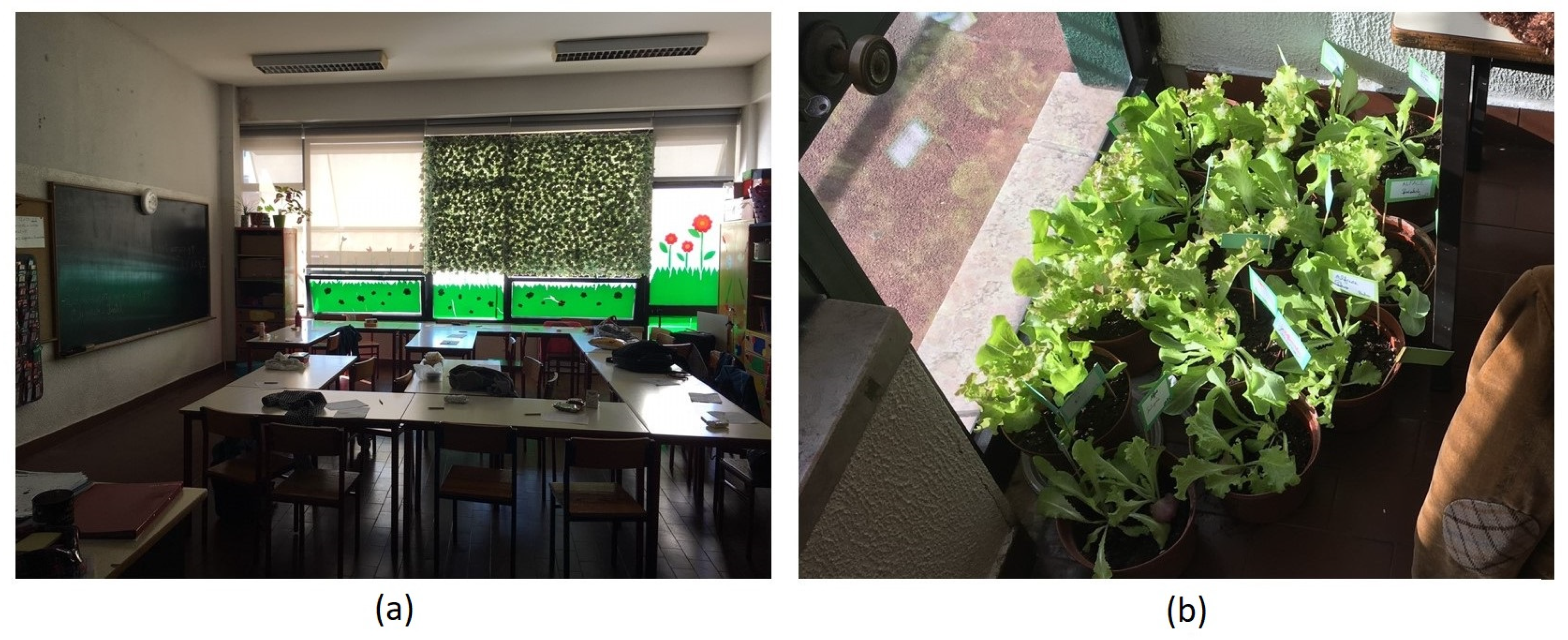 Sustainability 13 03488 g002