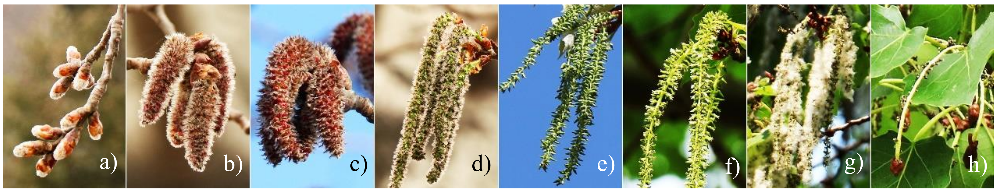 Sustainability 13 03518 g002 Sustainability 13 03518 g002