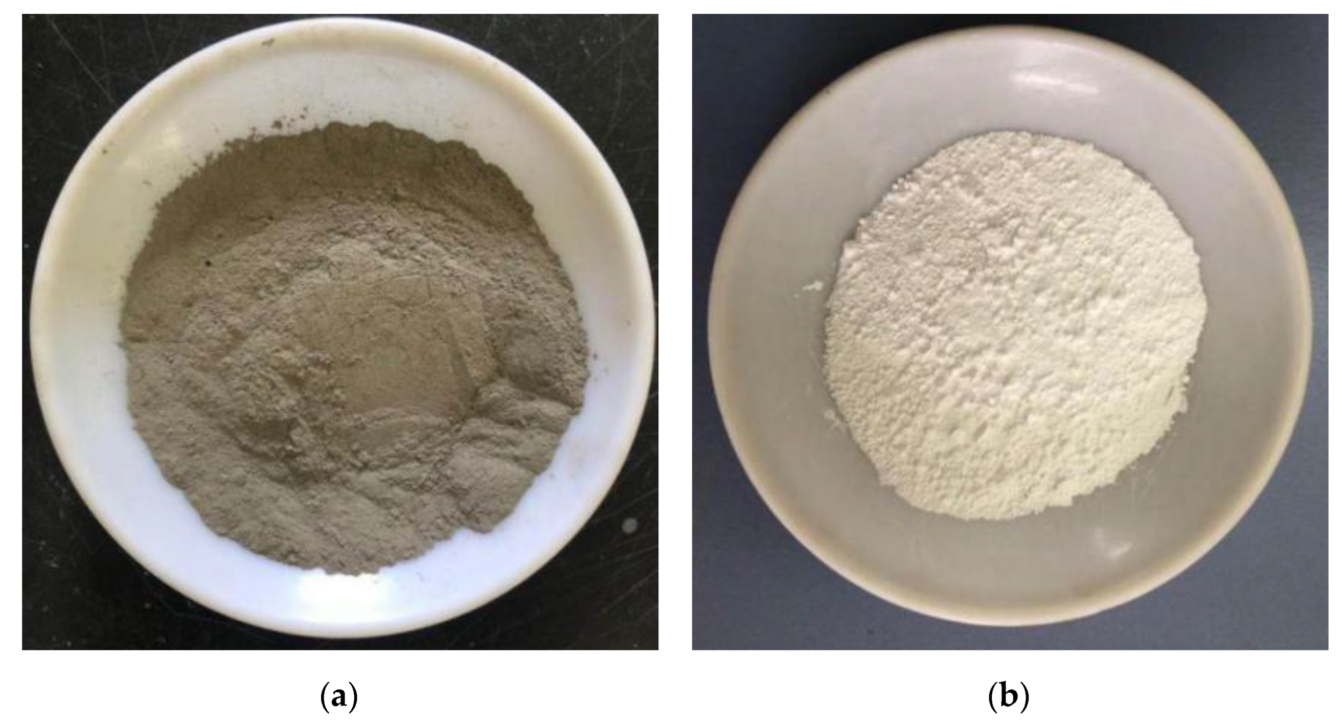 Sustainability 13 03558 g001