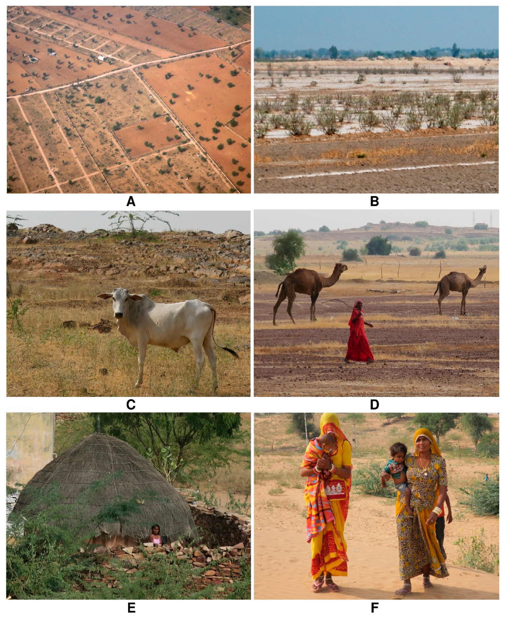 Sustainability 13 03602 g005 Sustainability 13 03602 g005