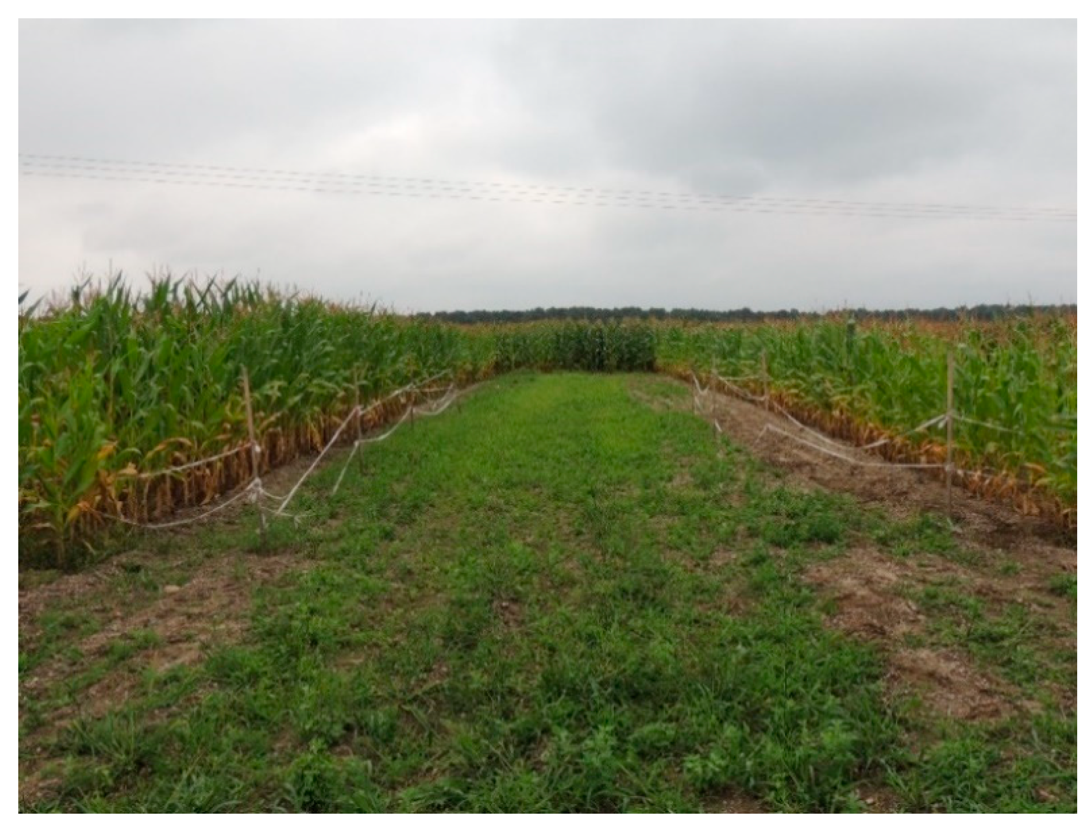 Sustainability 13 03617 g003 Sustainability 13 03617 g003