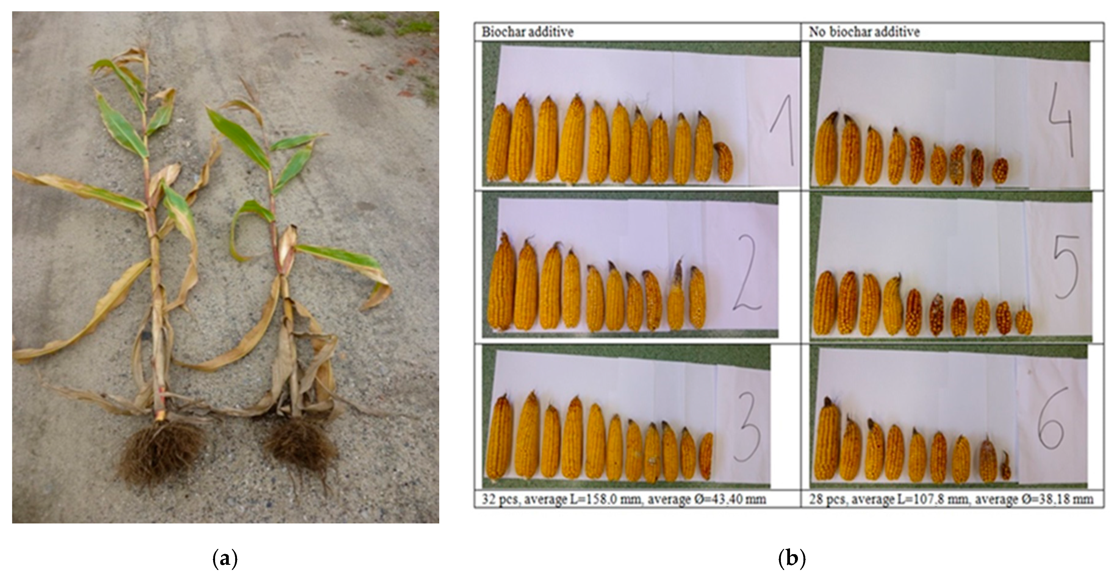 Sustainability 13 03617 g006 Sustainability 13 03617 g006