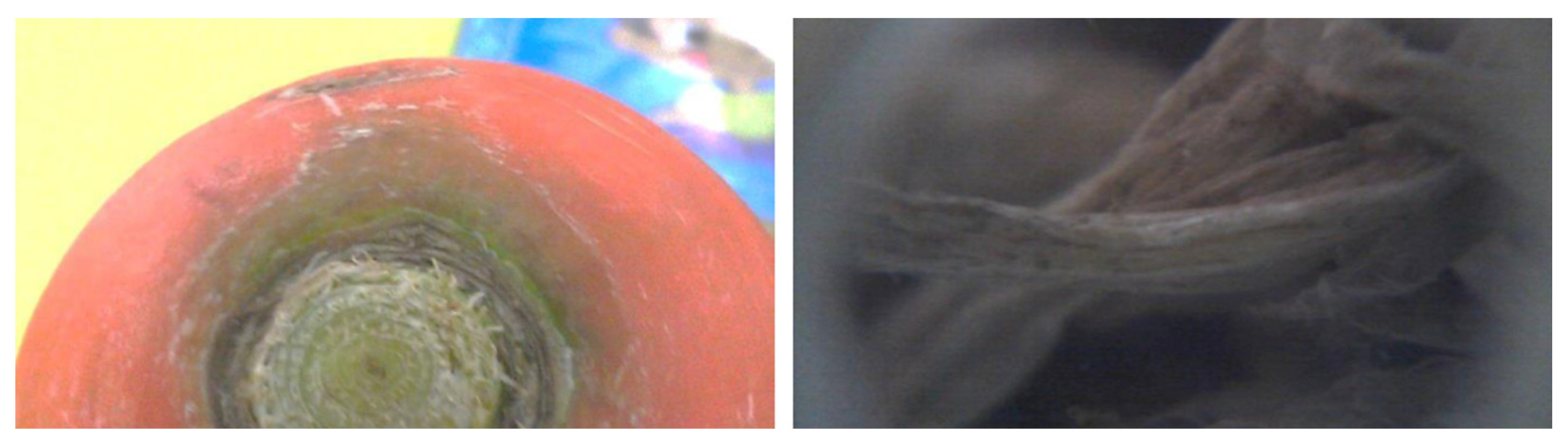 Sustainability 13 03663 g005