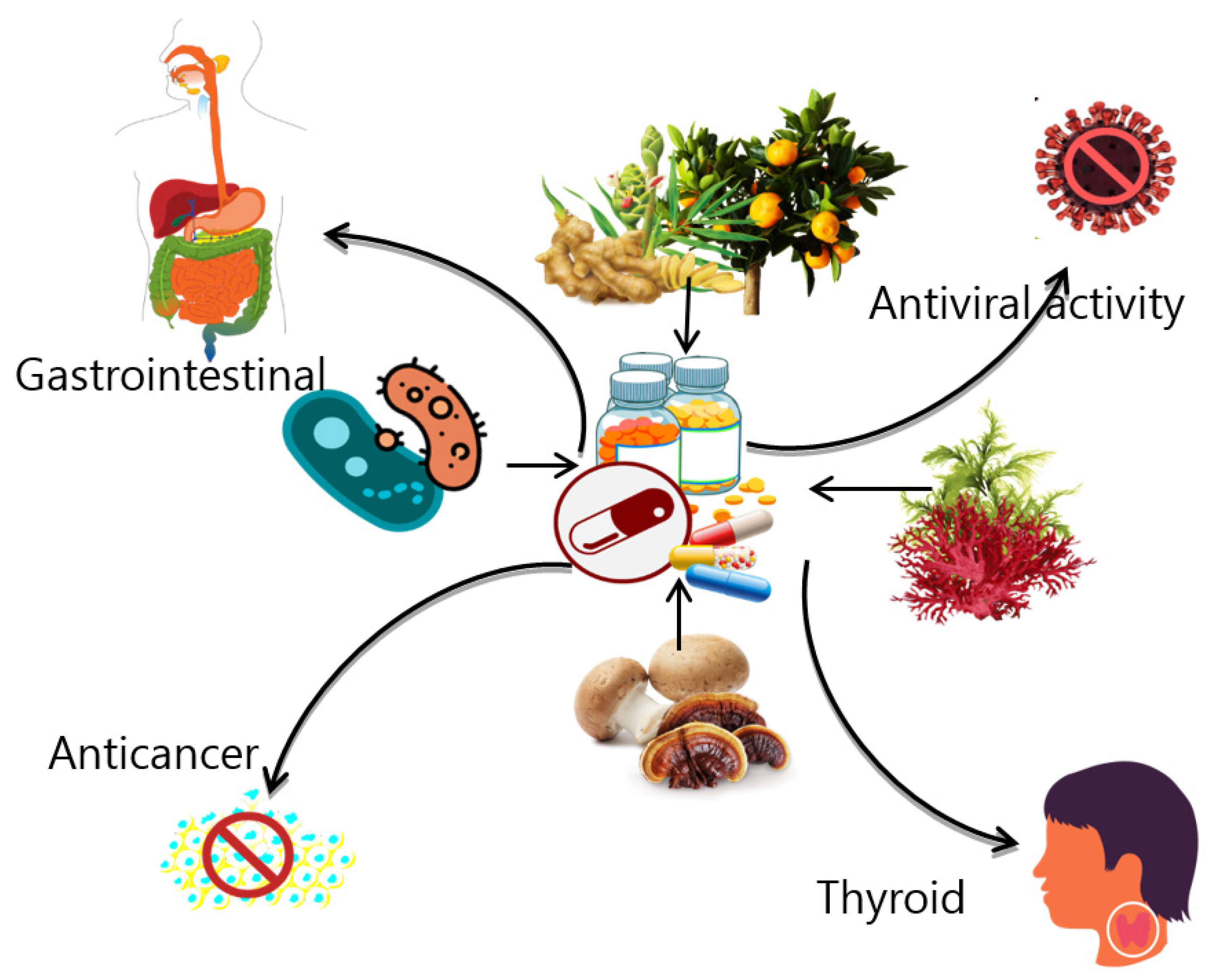 Modieus Keuze Senator Sustainability | Free Full-Text | Uncovering Prospective Role and  Applications of Existing and New Nutraceuticals from Bacterial, Fungal,  Algal and Cyanobacterial, and Plant Sources