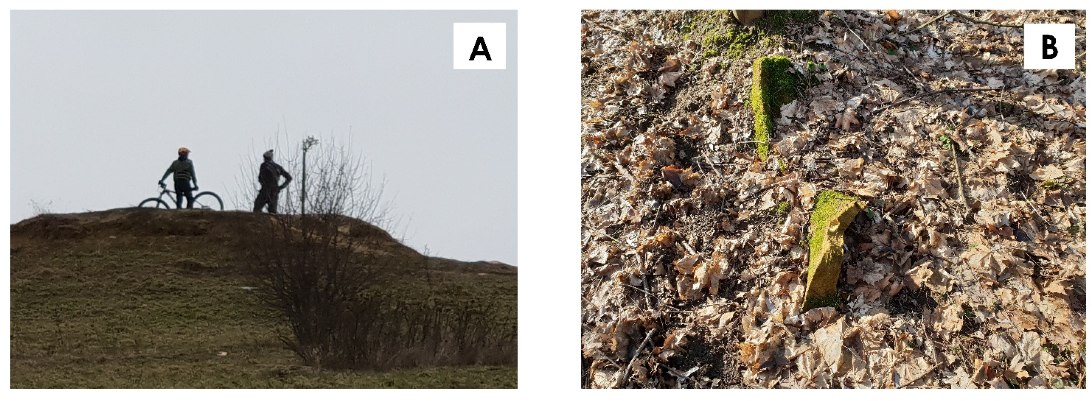 Sustainability 13 03691 g006