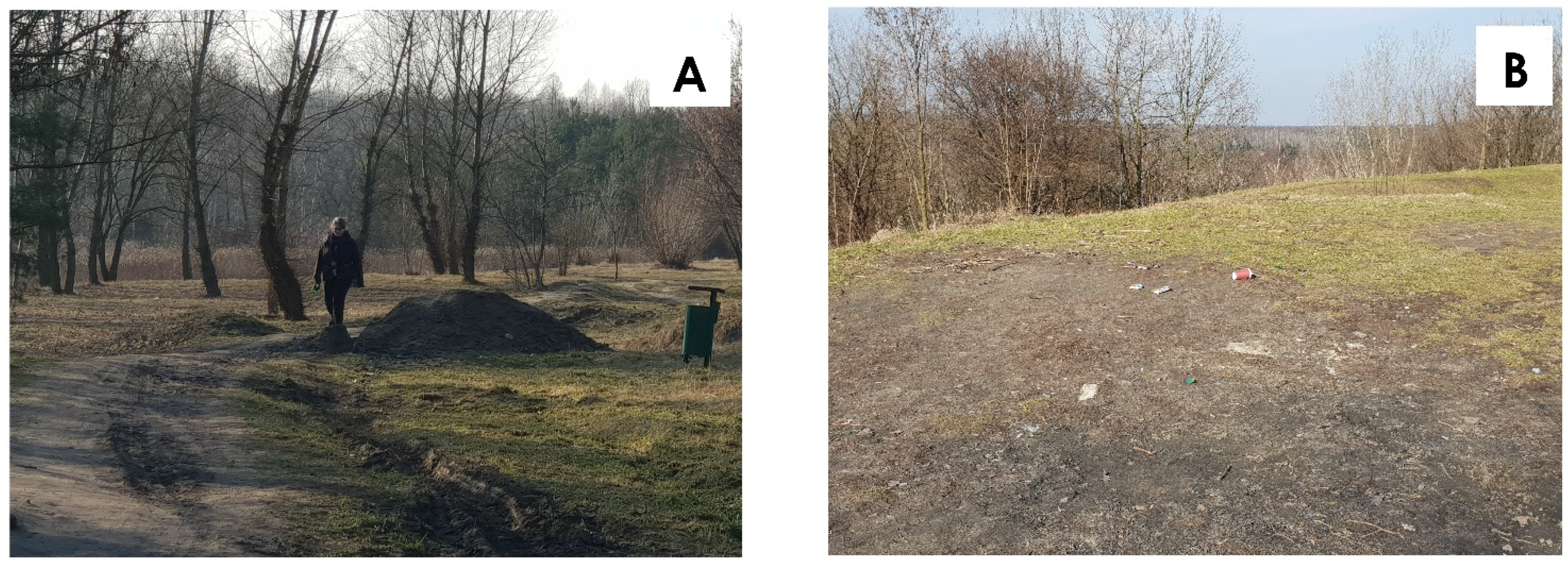 Sustainability 13 03691 g007