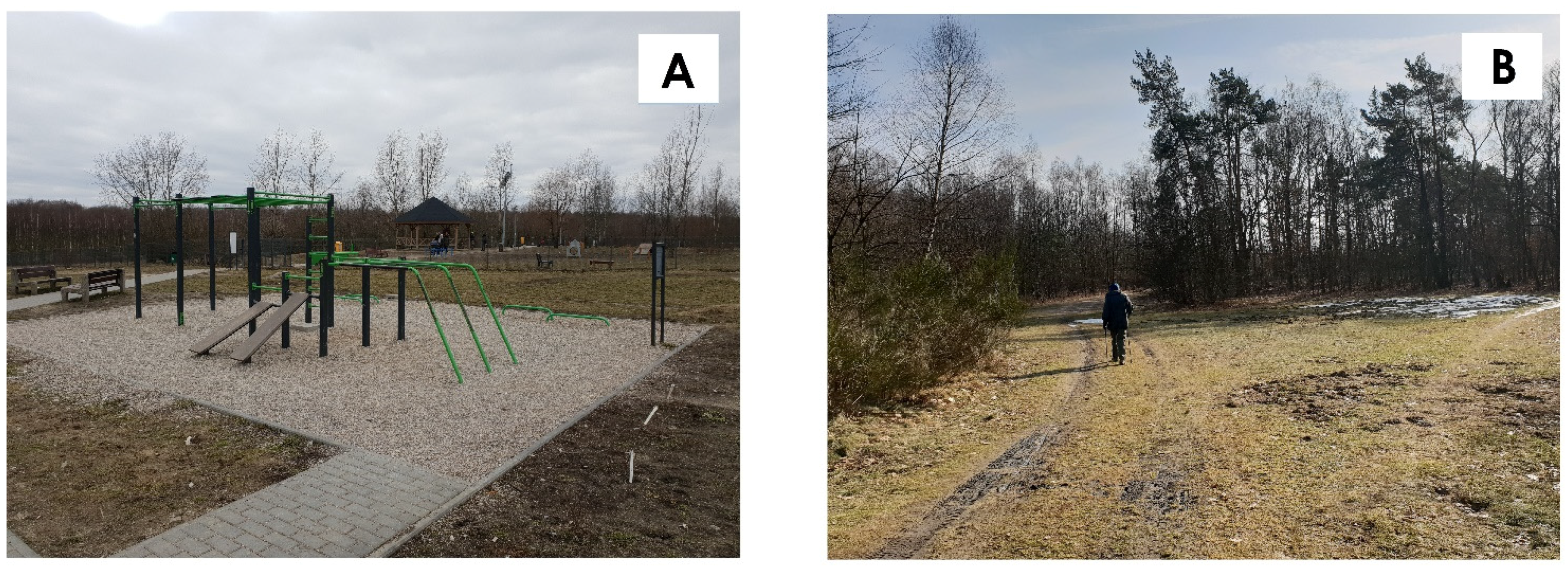 Sustainability 13 03691 g008