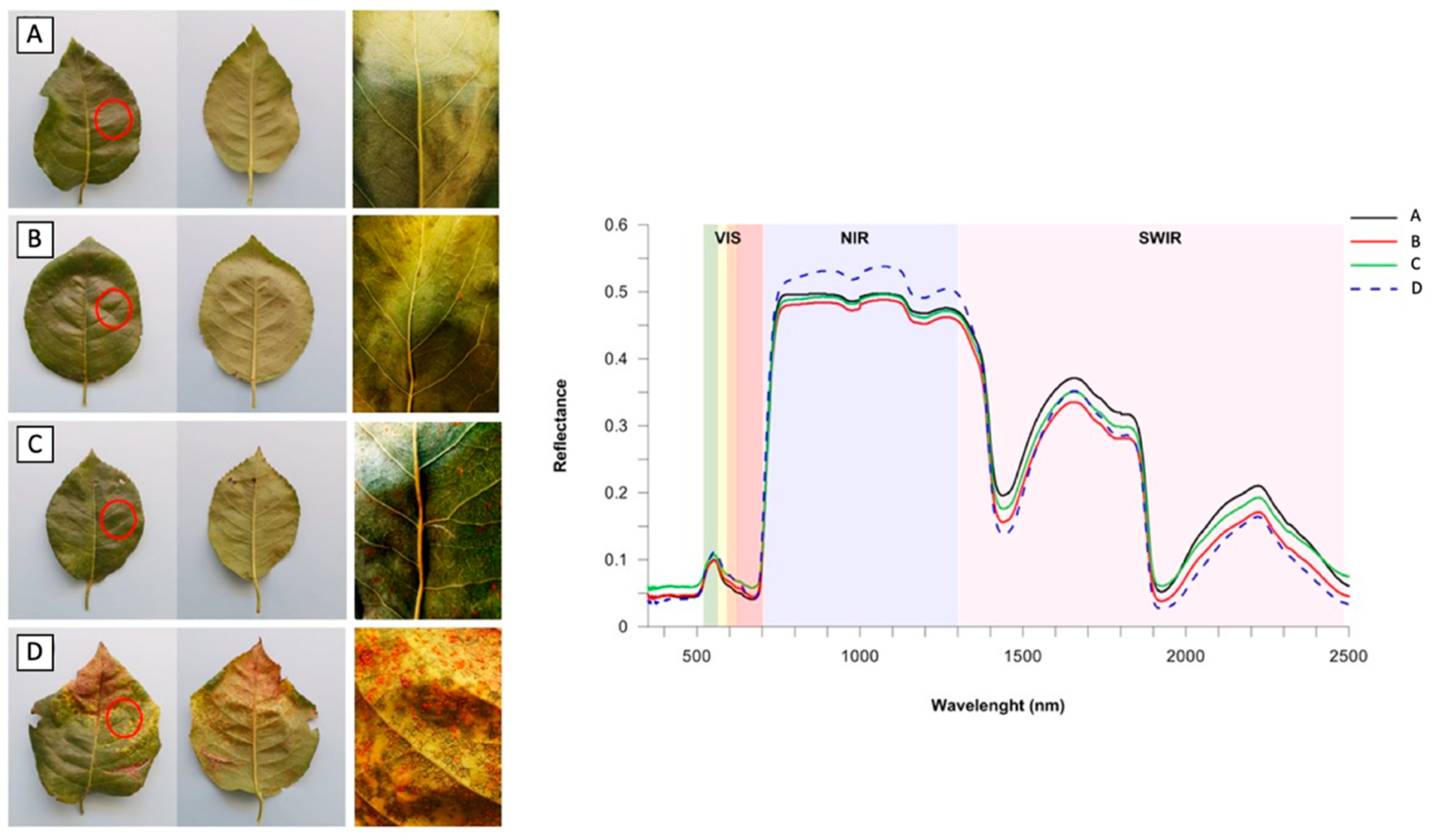 Sustainability 13 03707 g002 Sustainability 13 03707 g002