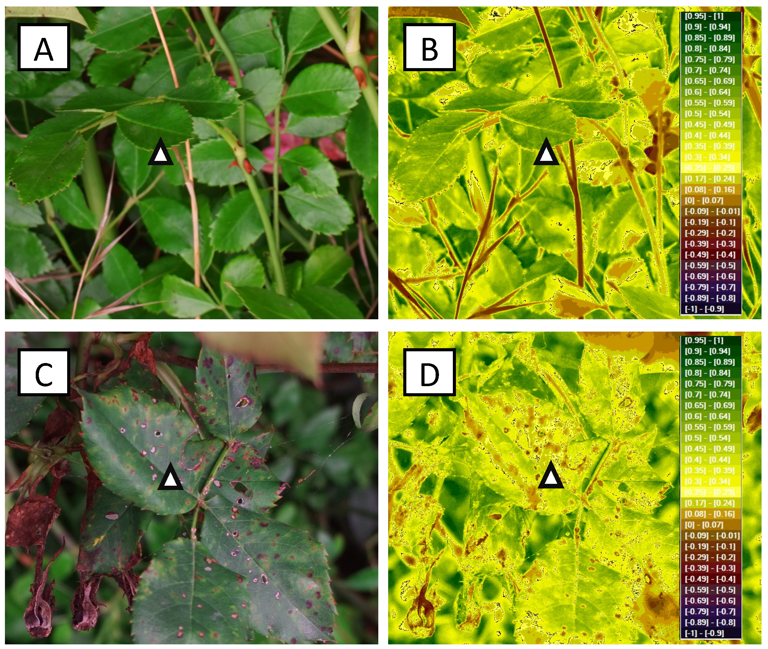Sustainability 13 03707 g004 Sustainability 13 03707 g004