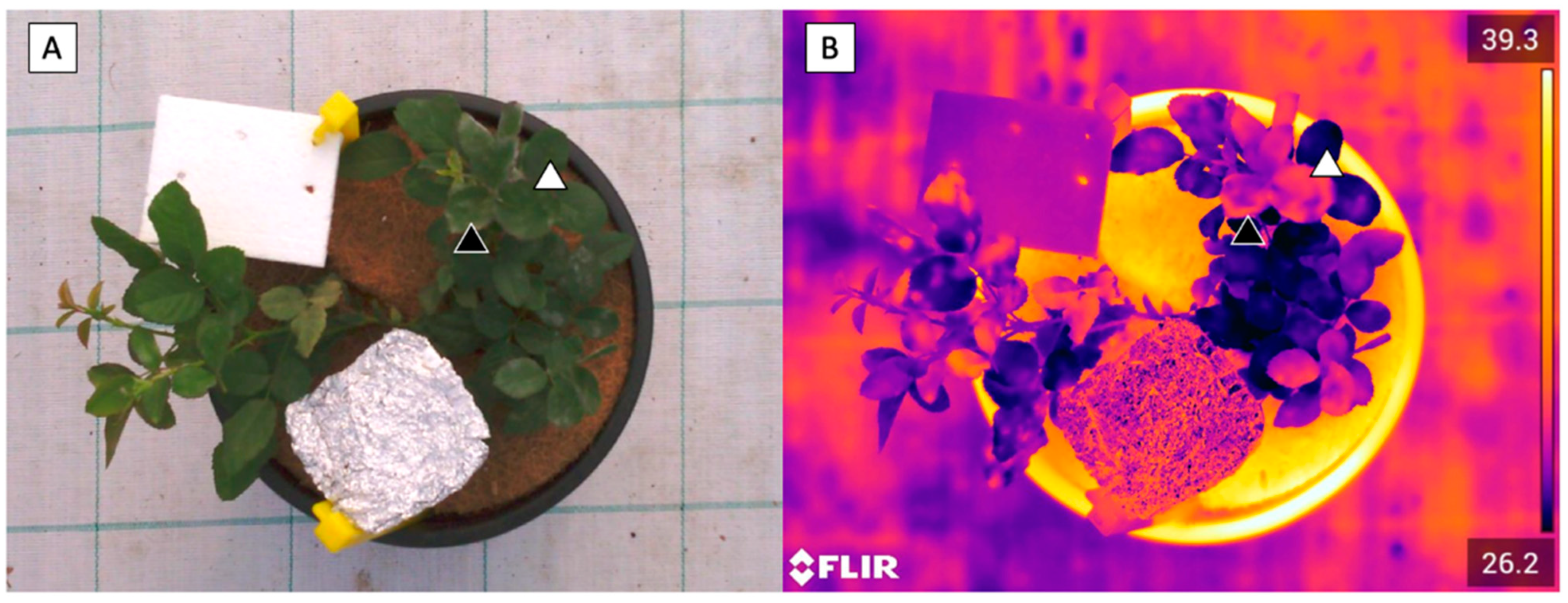 Sustainability 13 03707 g005 Sustainability 13 03707 g005