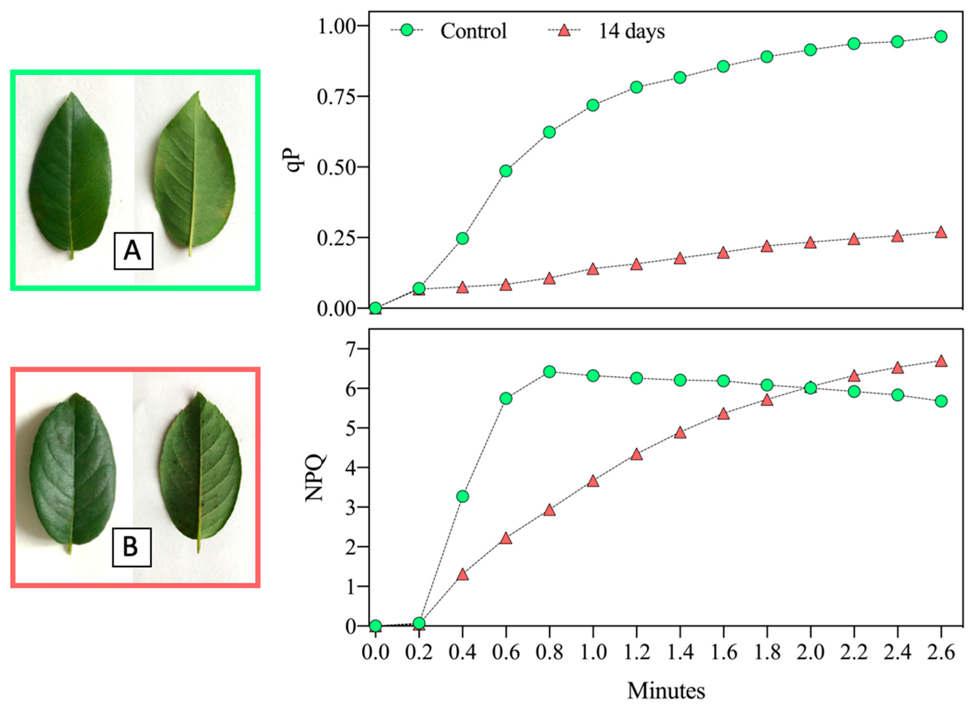 Sustainability 13 03707 g006 Sustainability 13 03707 g006