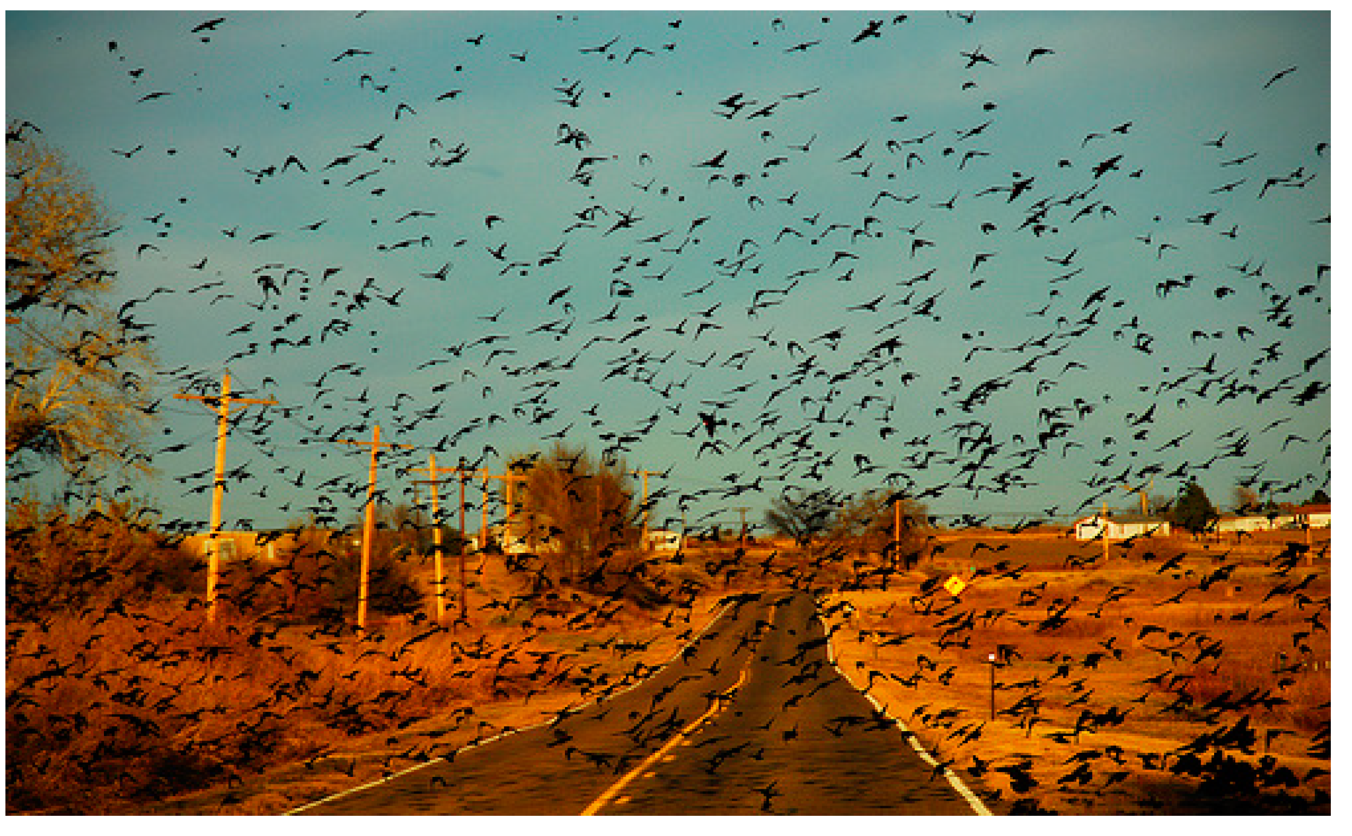 Sustainability 13 03747 g008