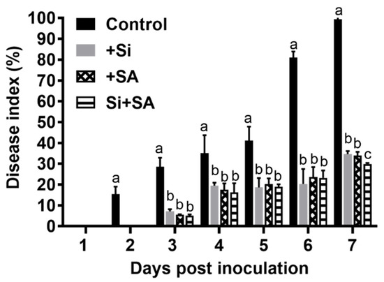 Sustainability Free Full Text Effects Of Combined Application Of Potassium Silicate And Salicylic Acid On The Defense Response Of Hydroponically Grown Tomato Plants To Ralstonia Solanacearum Infection Html