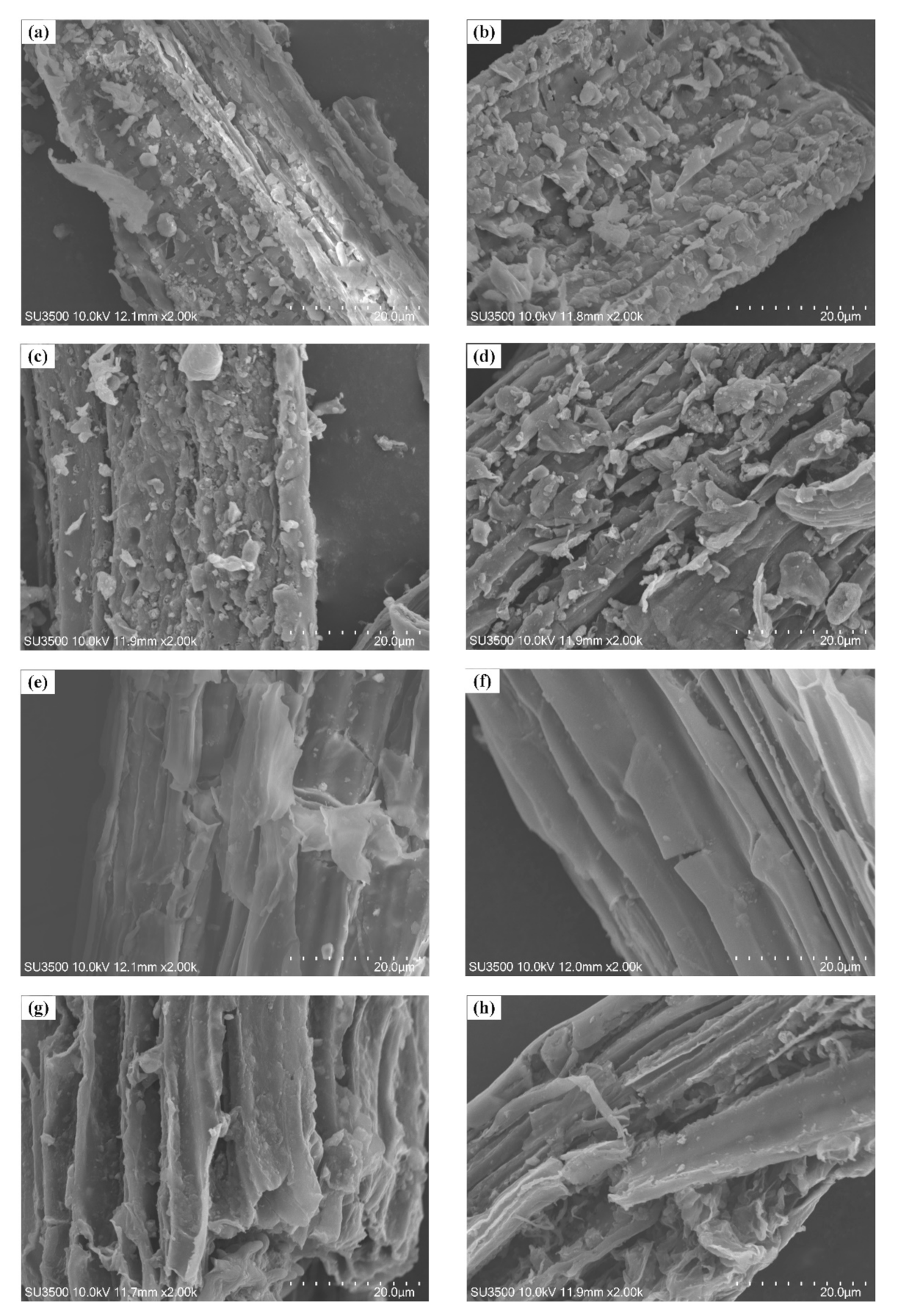 Sustainability 13 03786 g004 Sustainability 13 03786 g004