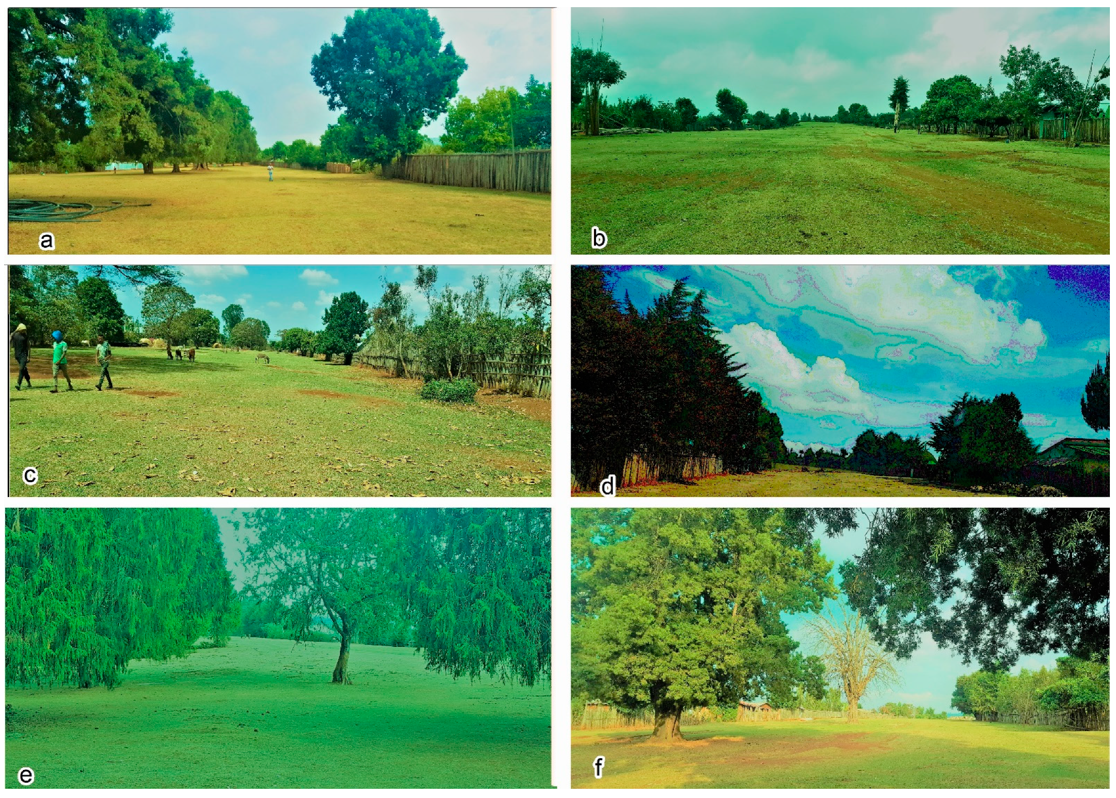 Sustainability 13 03806 g003 Sustainability 13 03806 g003