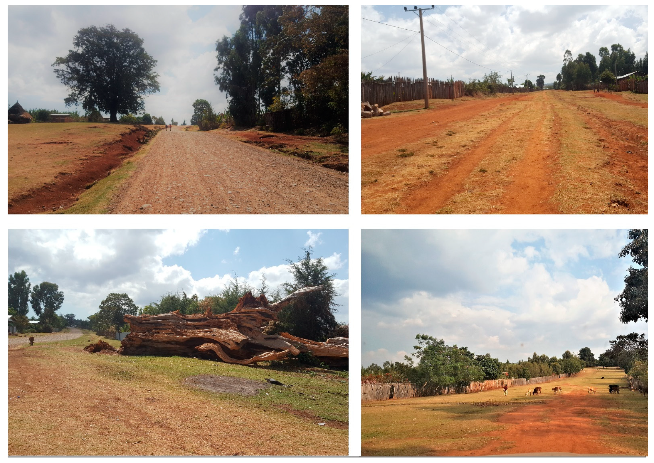 Sustainability 13 03806 g004 Sustainability 13 03806 g004