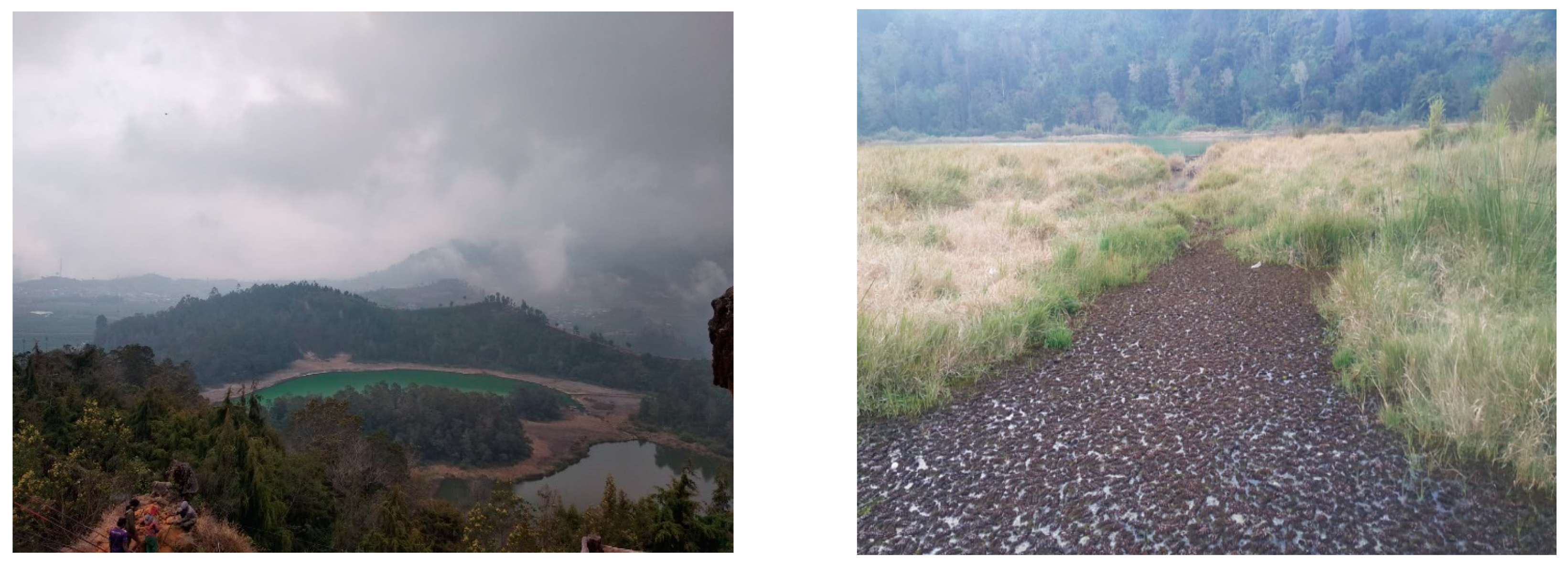 Sustainability 13 03821 g001