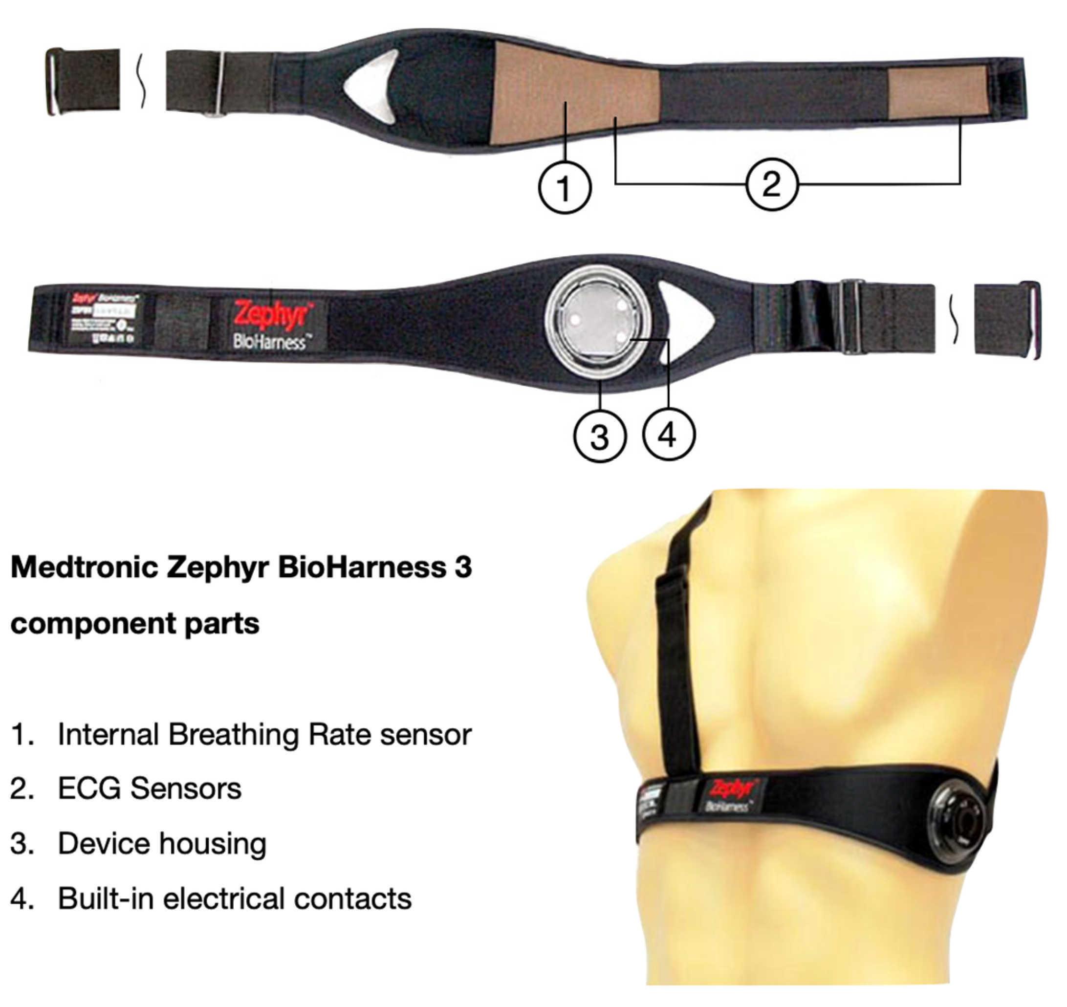 Sustainability 13 03867 g001