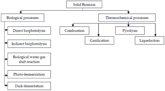 Sustainability Free Full Text The Potential Of Sustainable Biomass Producer Gas As A Waste To Energy Alternative In Malaysia Html