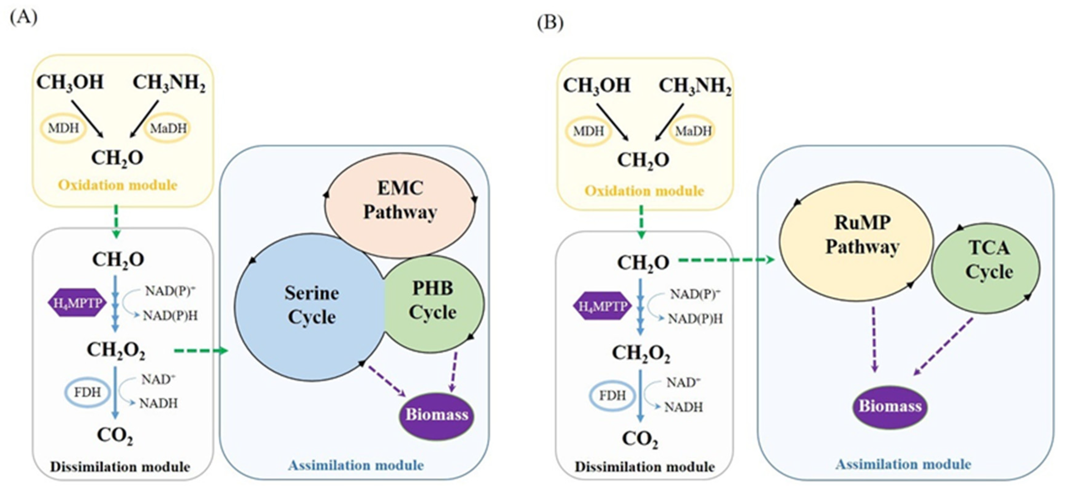 Sustainability 13 03941 g001 Sustainability 13 03941 g001