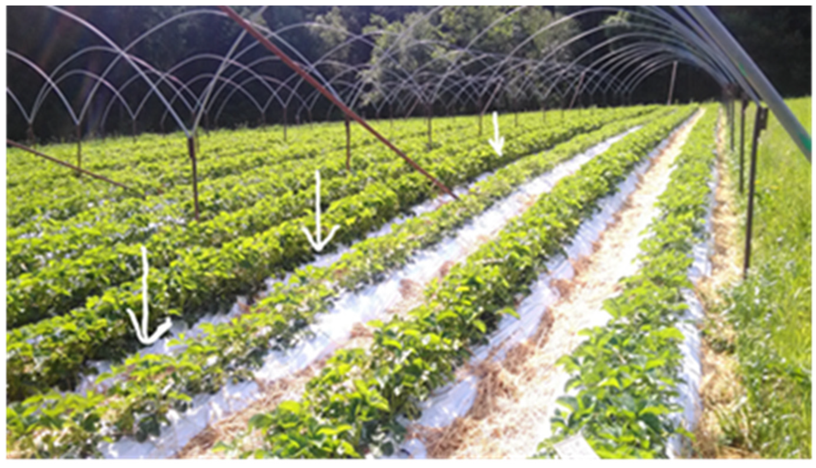 Sustainability 13 03964 g003