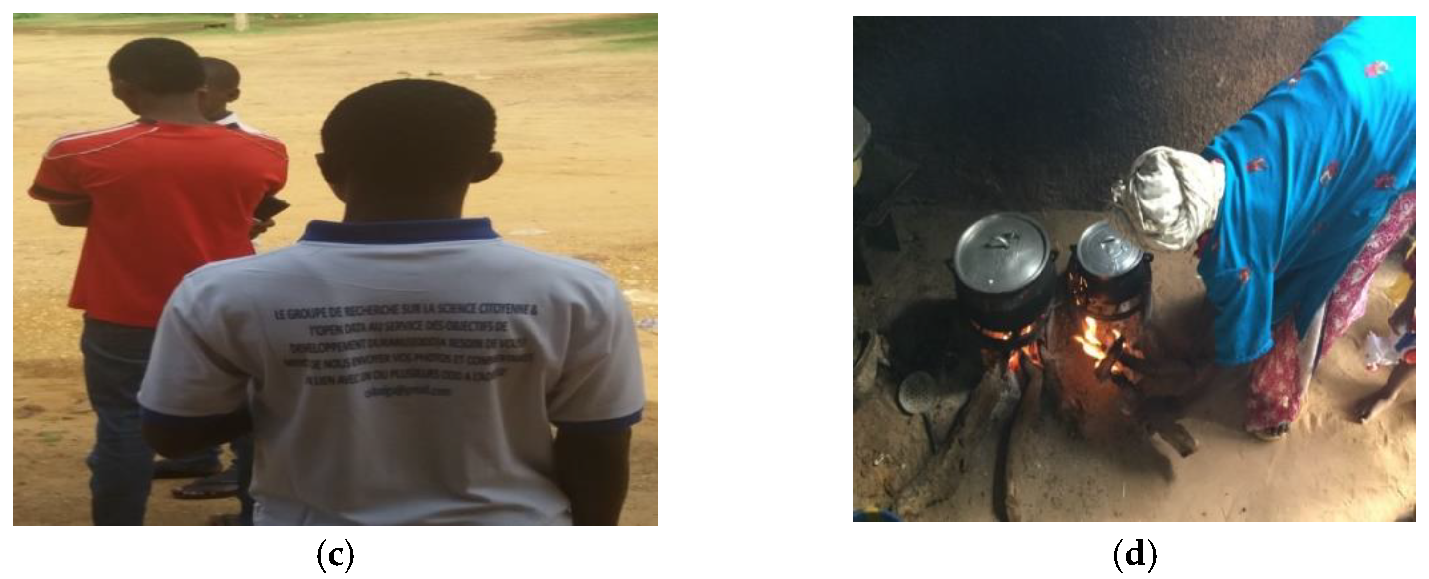 Sustainability 13 03973 g001b