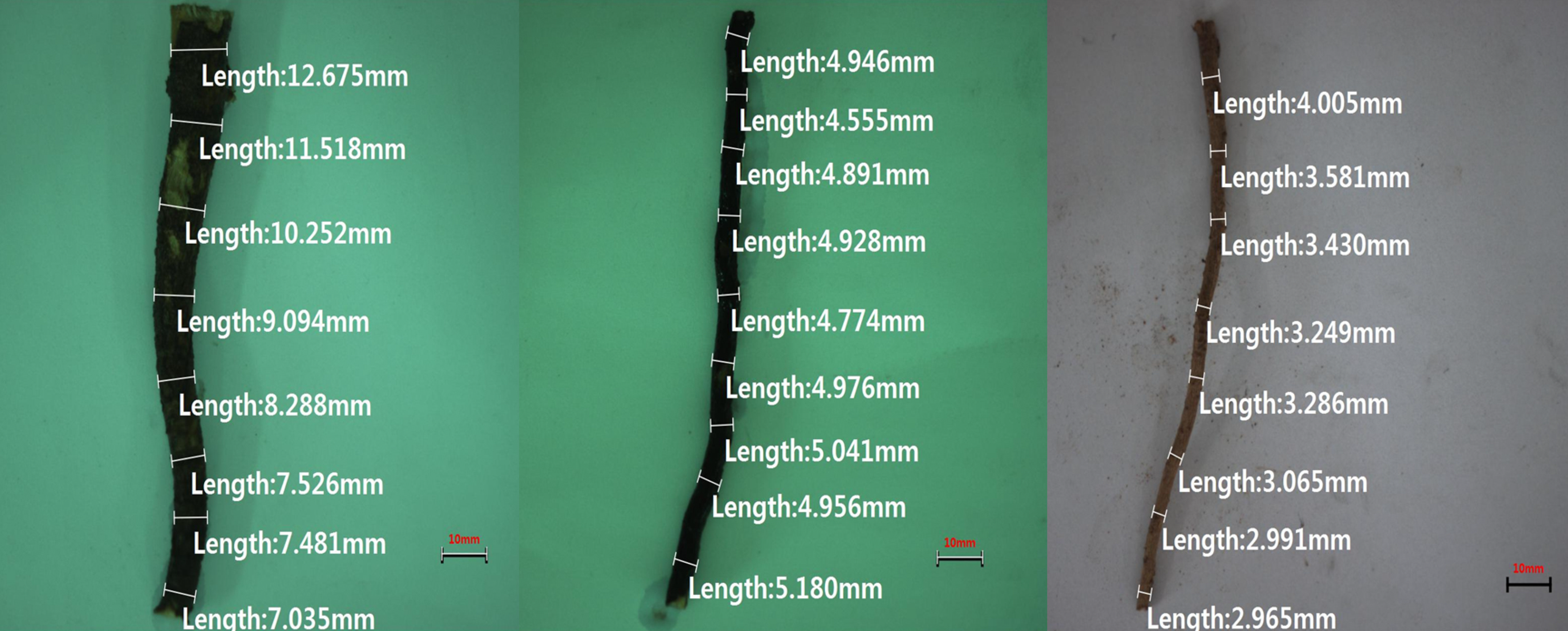 Sustainability 13 03991 g002