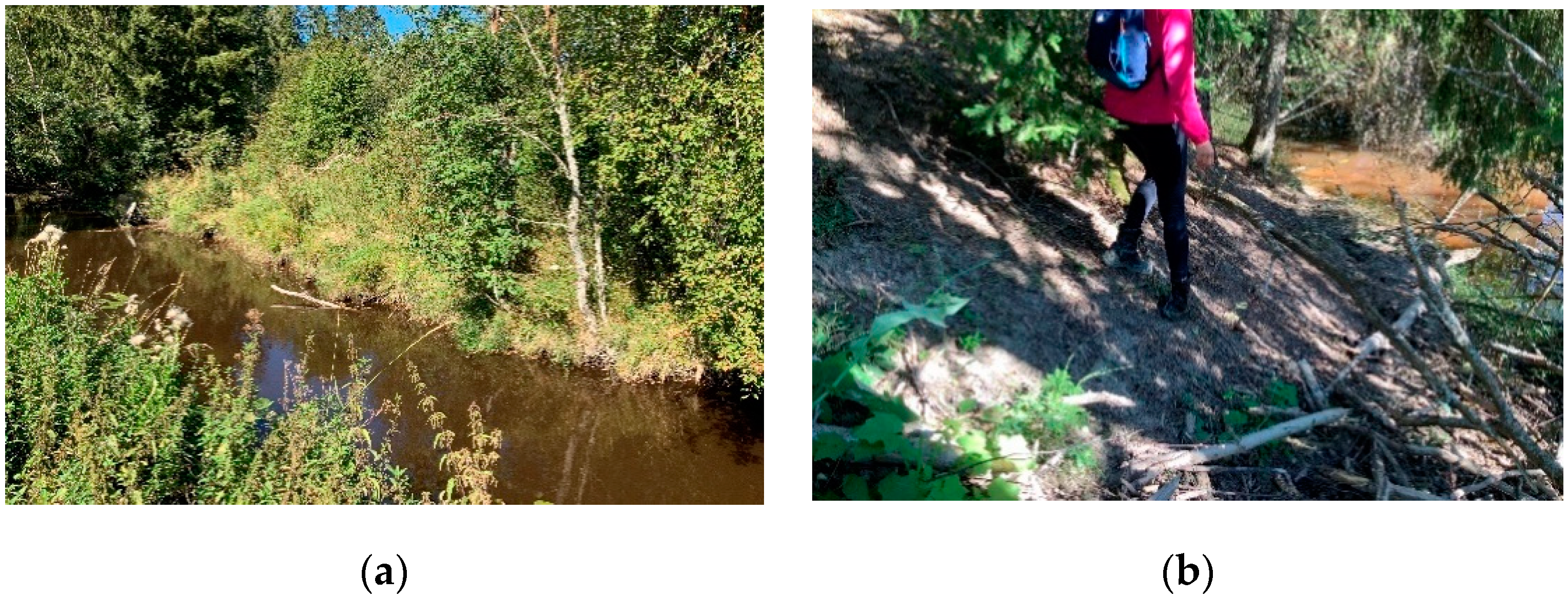 Sustainability 13 04046 g002