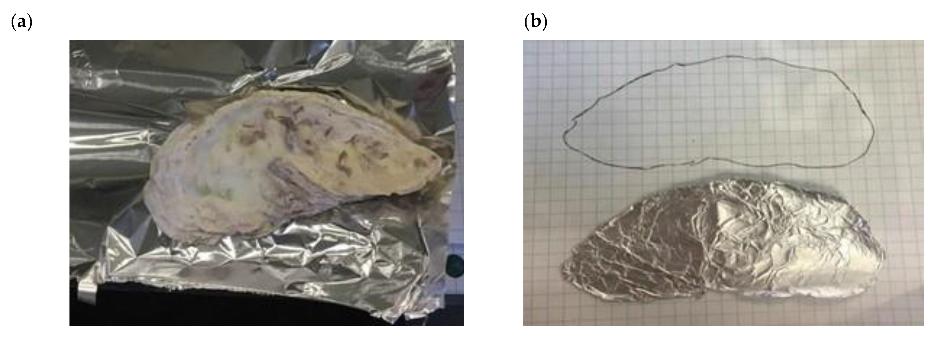 Sustainability 13 04184 g001a 550