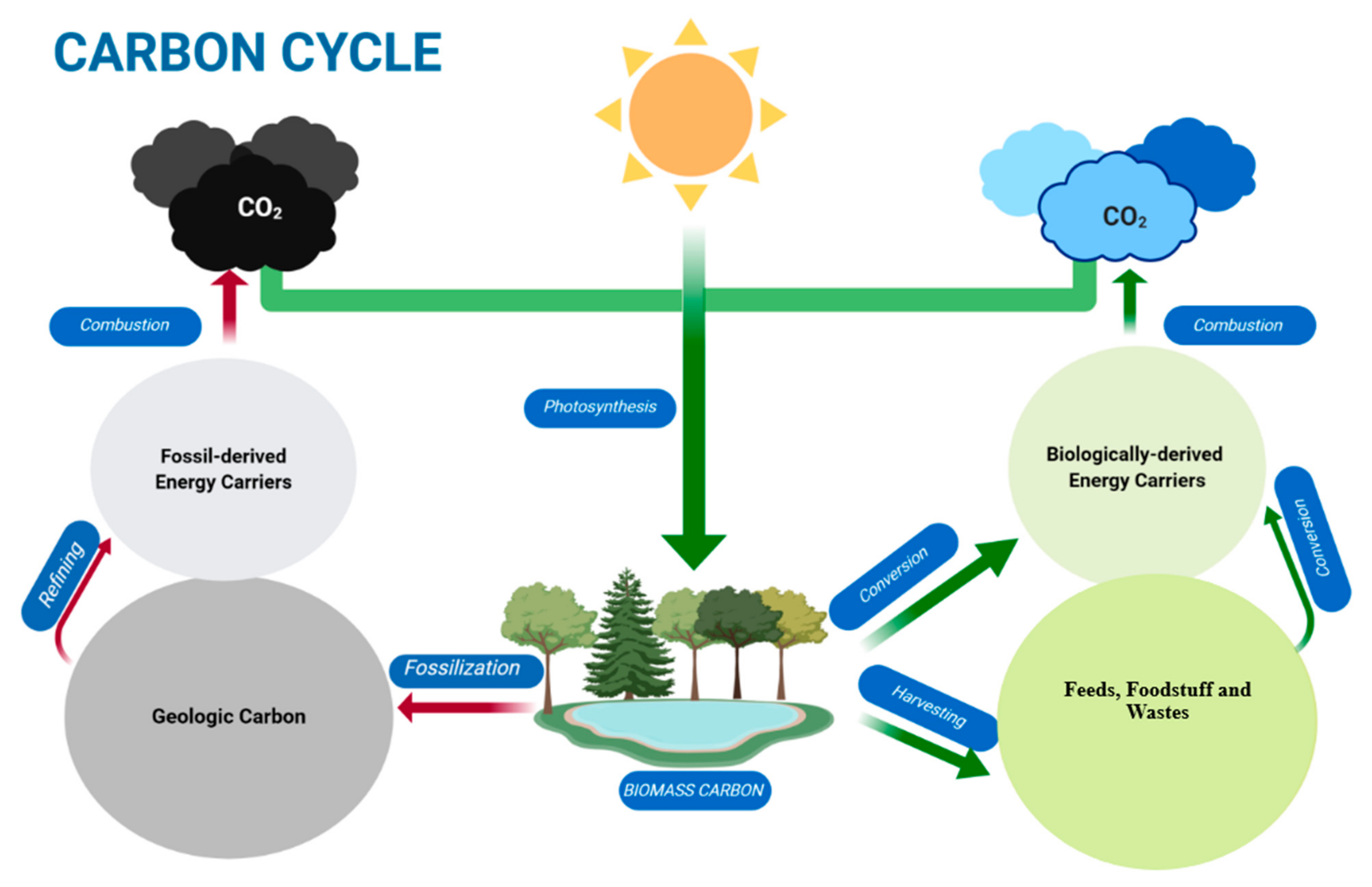 Sustainability Free Full Text Socio Economic And Environmental Impacts Of Biomass Valorisation A Strategic Drive For Sustainable Bioeconomy