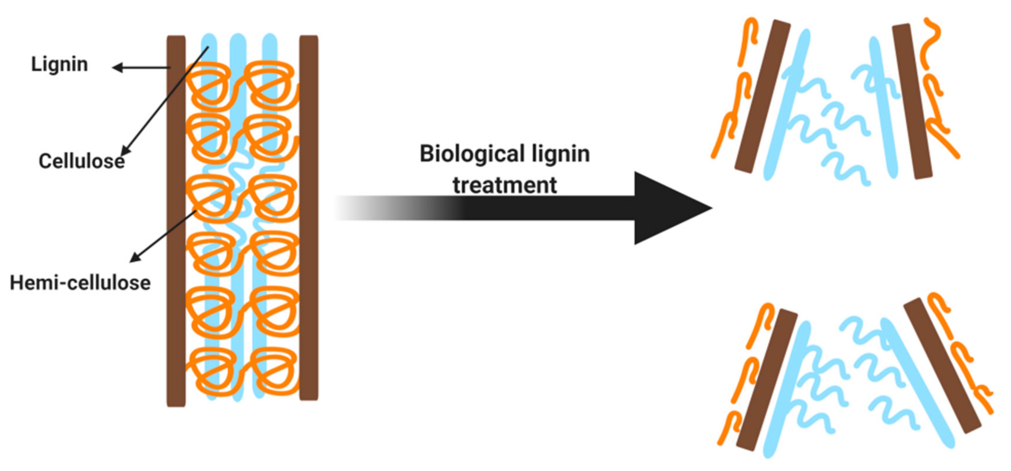 Sustainability 13 04200 g003 Sustainability 13 04200 g003