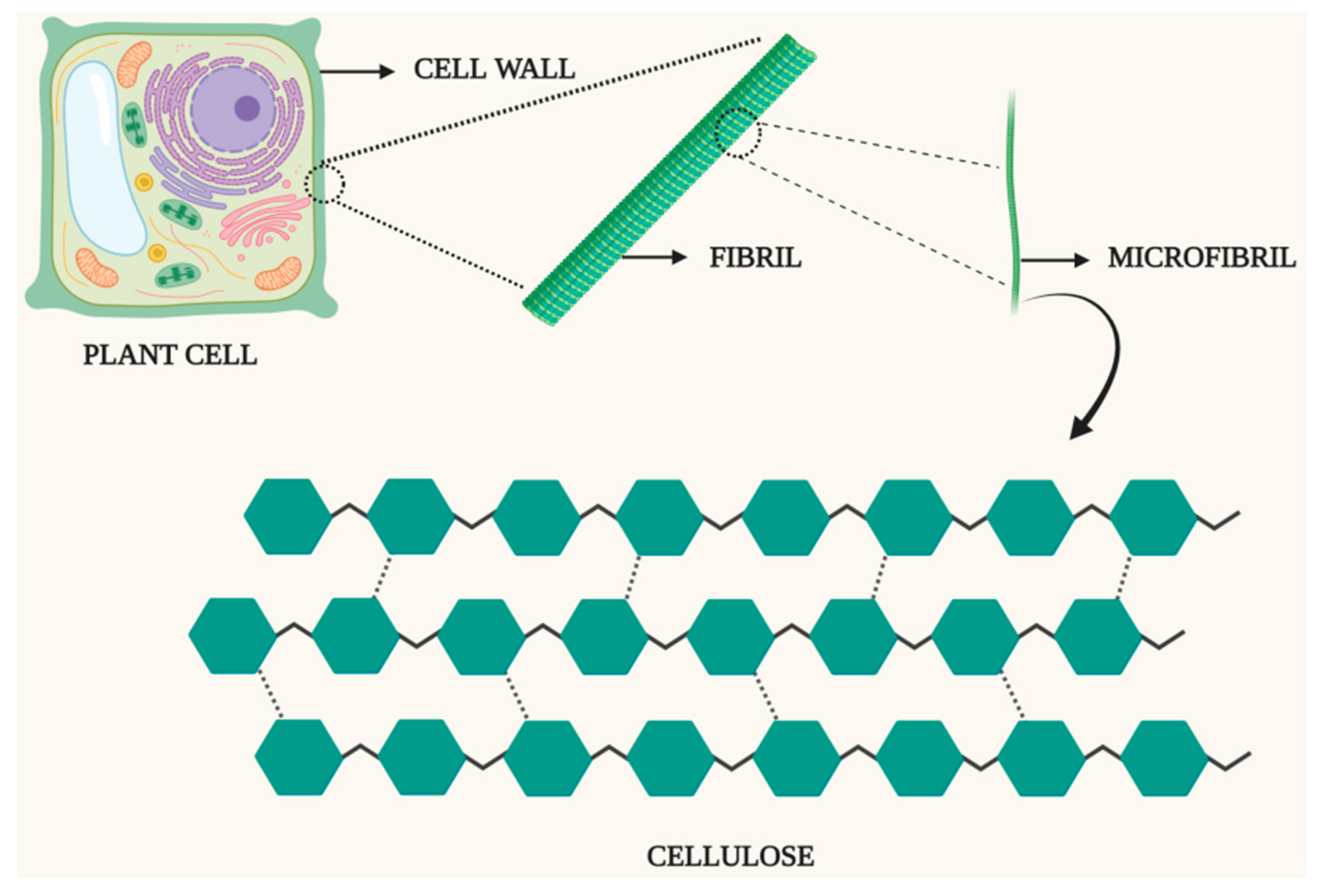 Sustainability 13 04200 g004 Sustainability 13 04200 g004