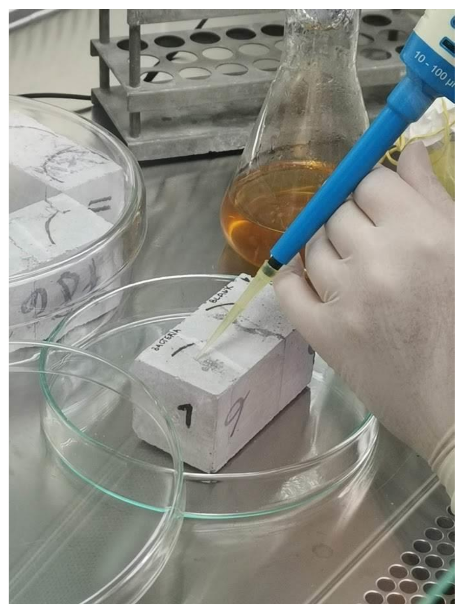 Sustainability 13 04287 g003