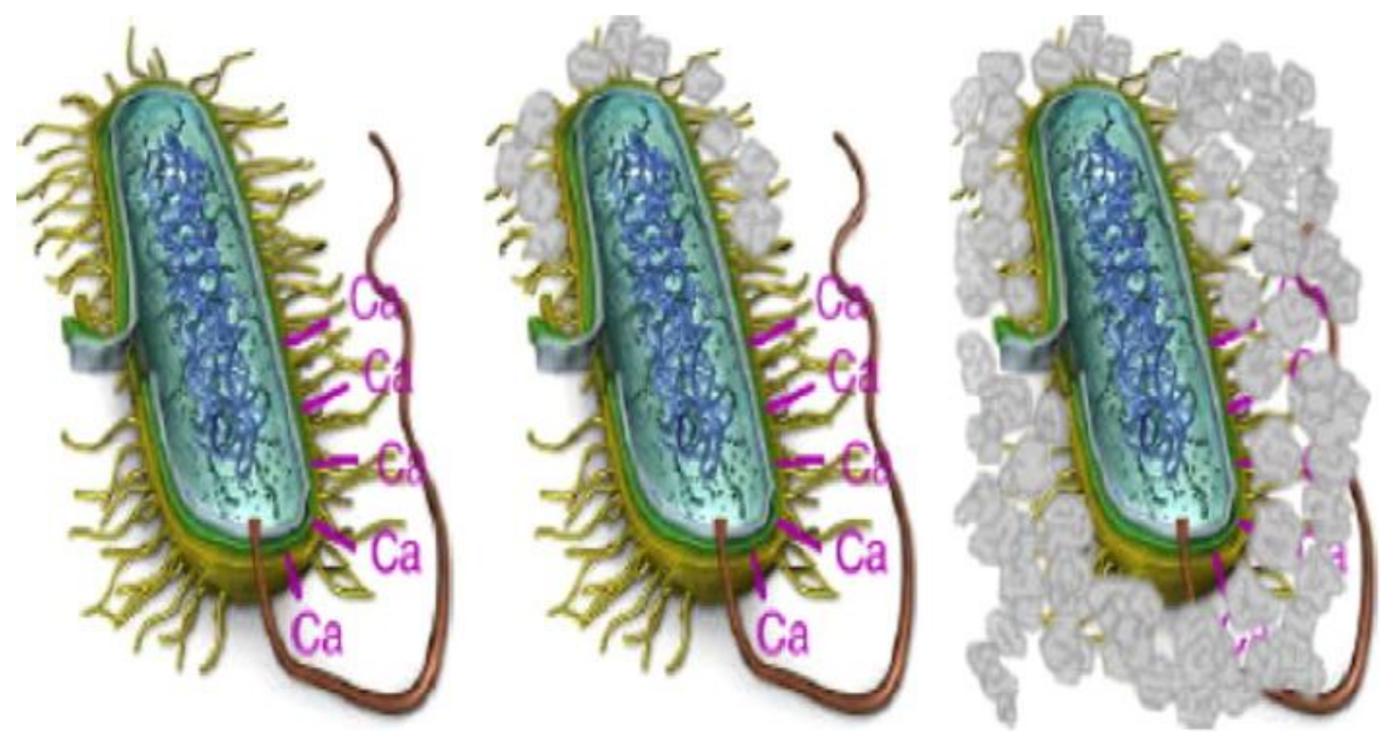 Sustainability 13 04287 g004
