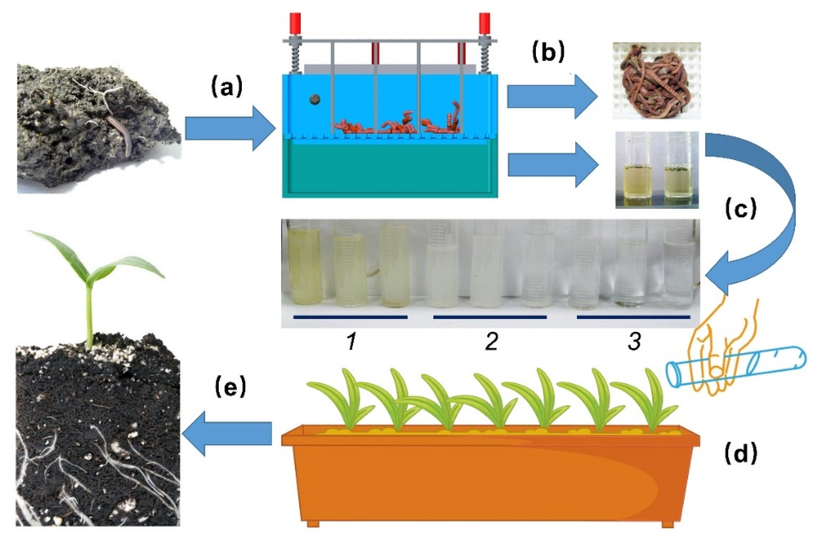 Sustainability 13 04299 g001