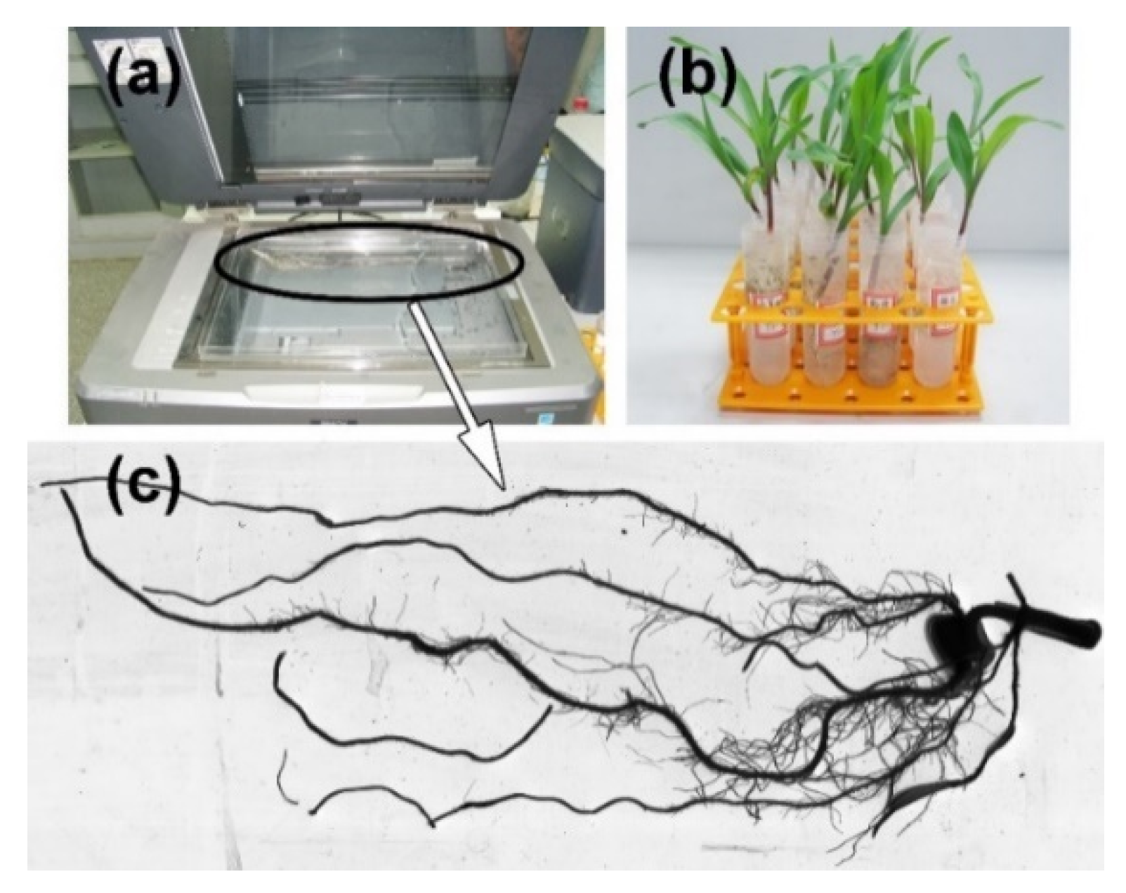 Sustainability 13 04299 g005