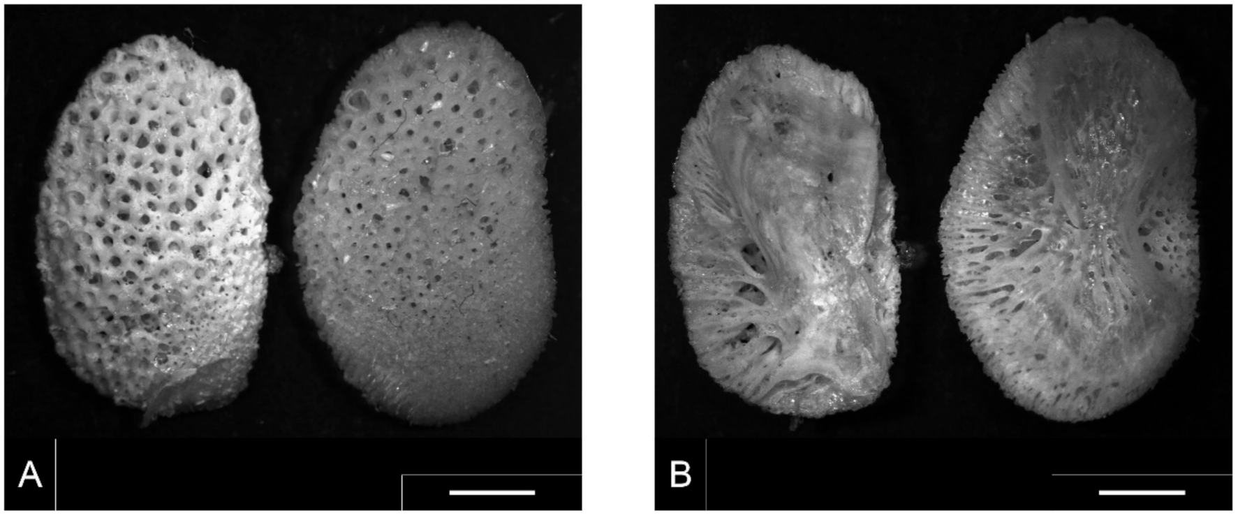 Sustainability 13 04322 g001