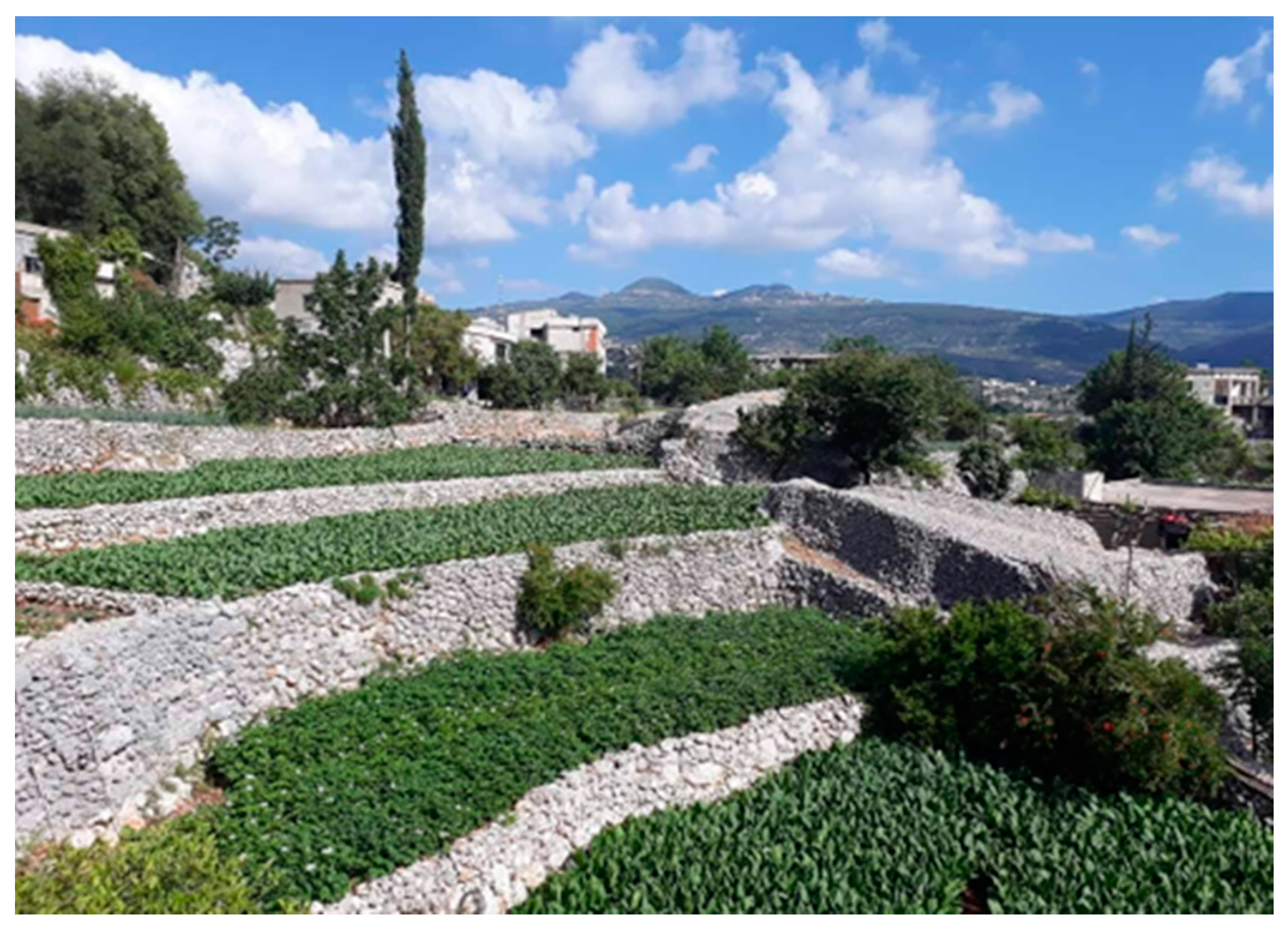 Sustainability 13 04357 g009