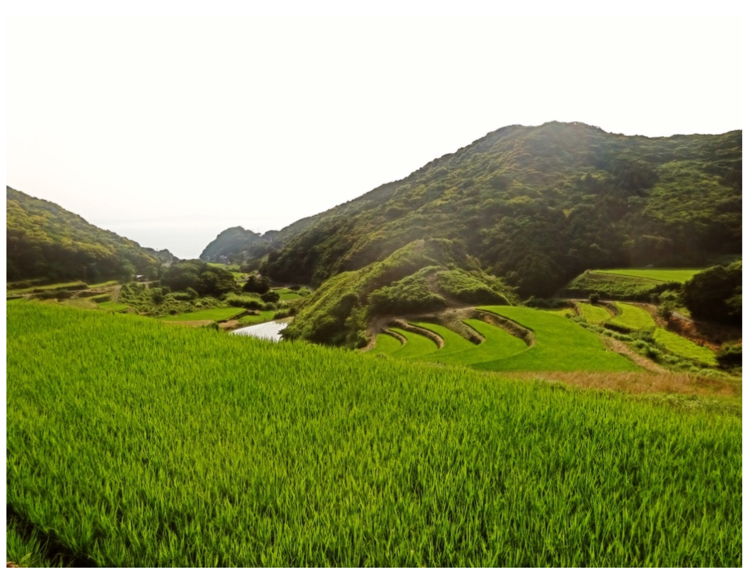 Sustainability 13 04387 g005