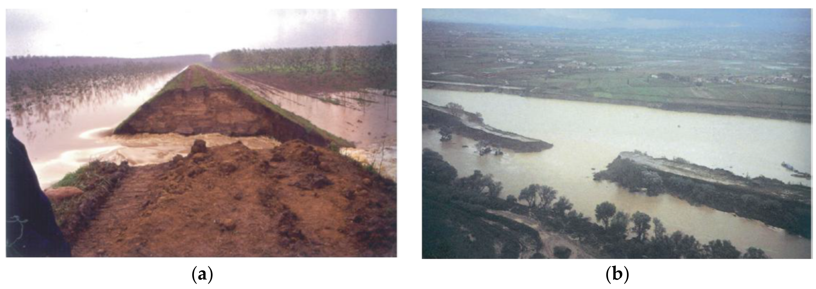 Sustainability 13 04445 g005