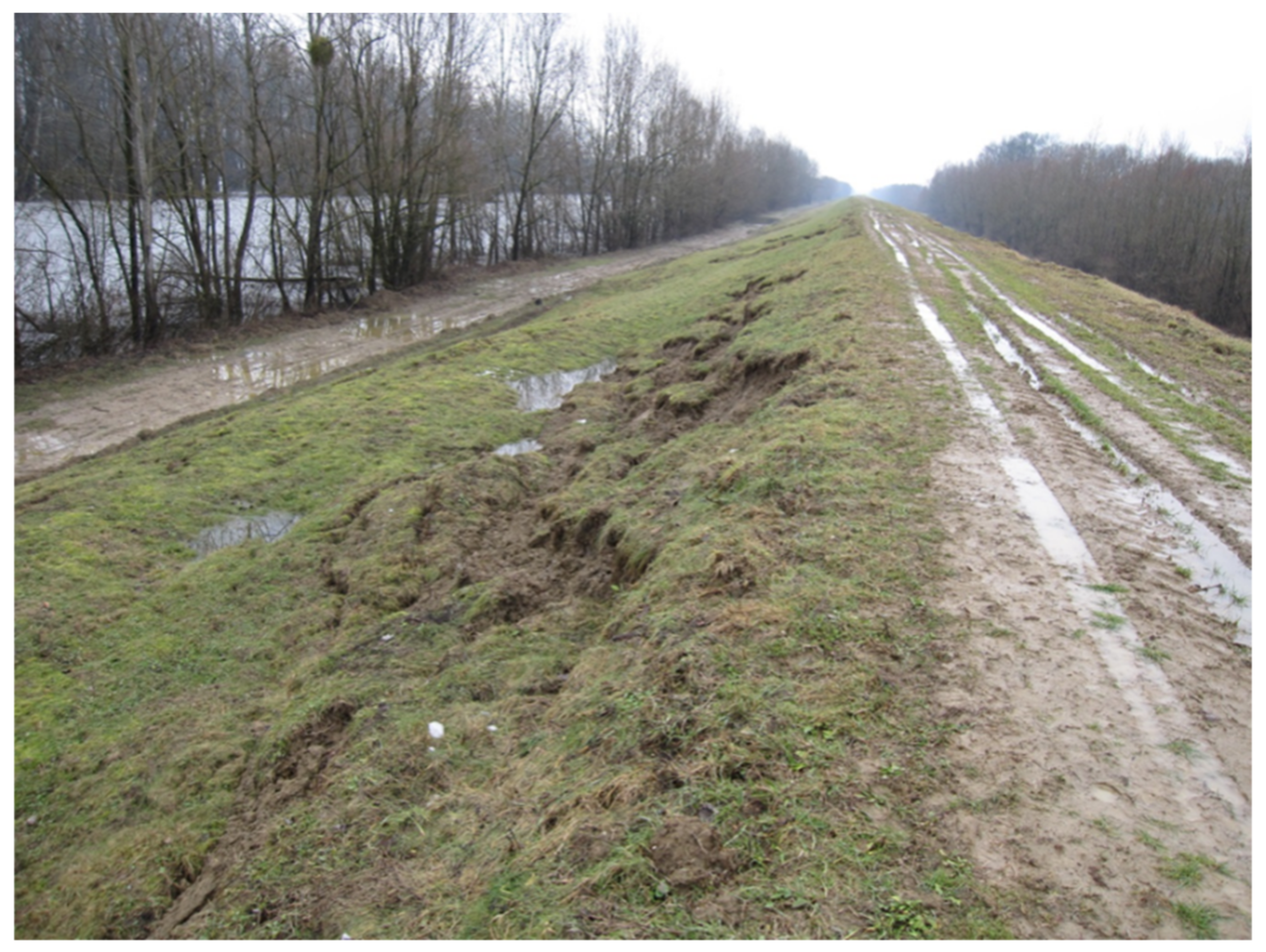 Sustainability 13 04445 g019